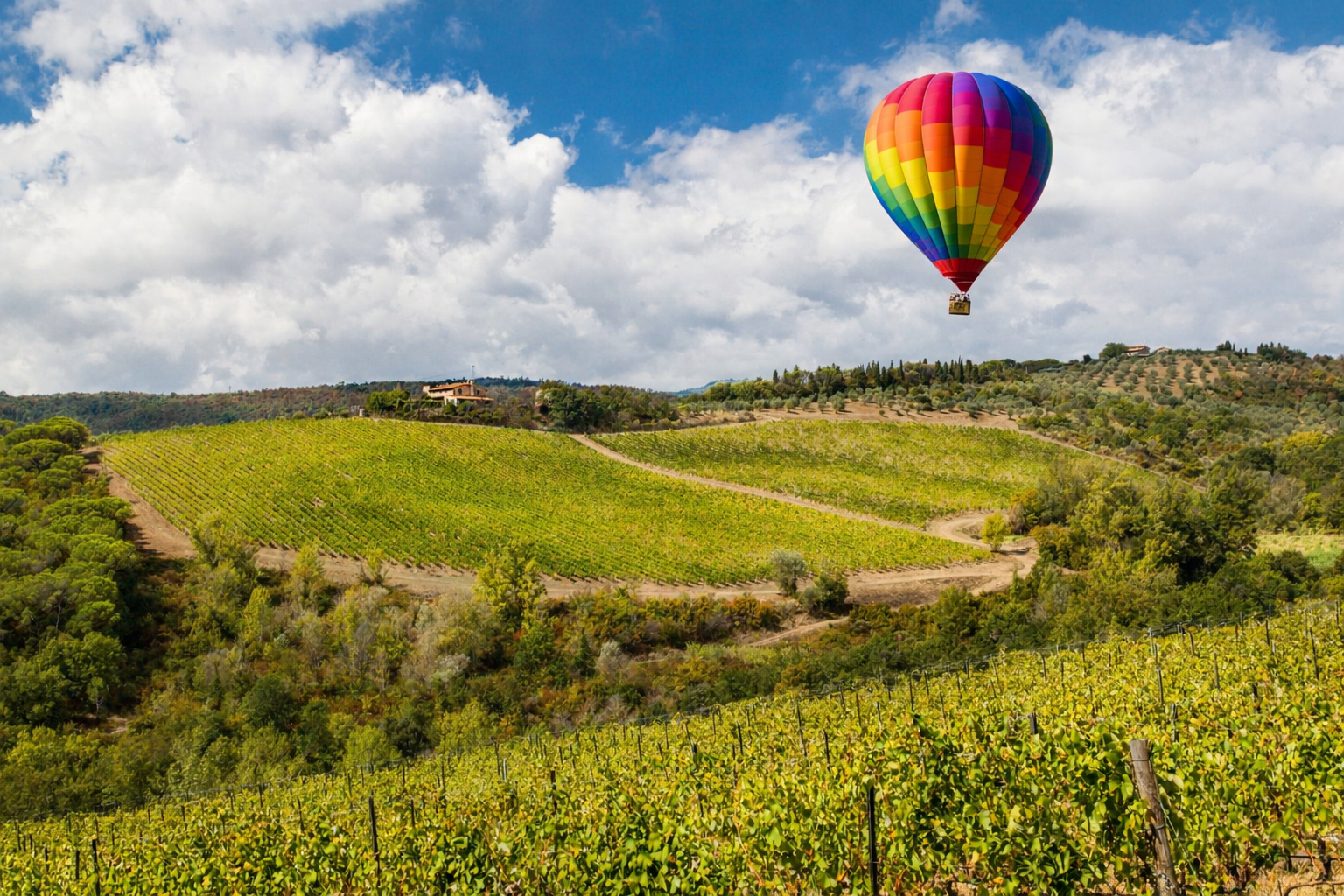 Vibrant rainbow hot air balloon above lush green vineyards and hills.