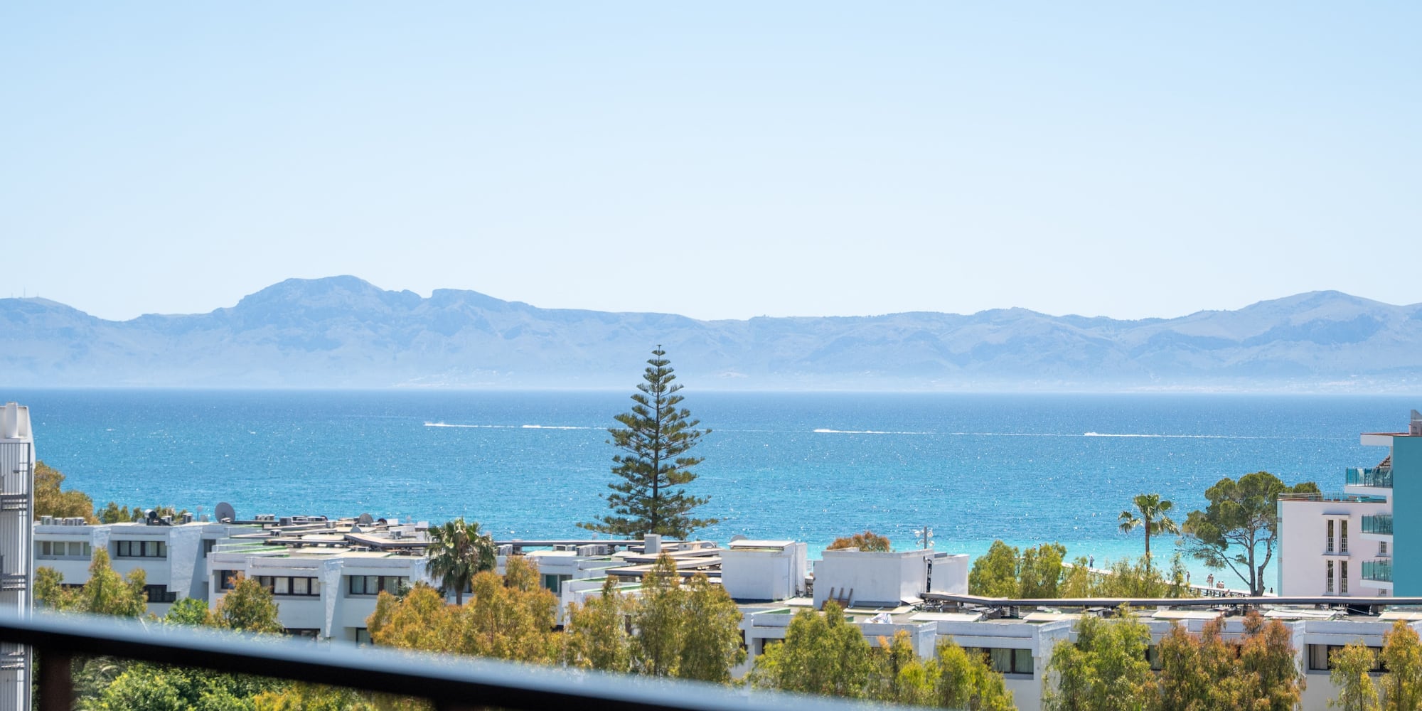 Balcony sea view of coastal buildings, distant mountains, and a tall pine tree.