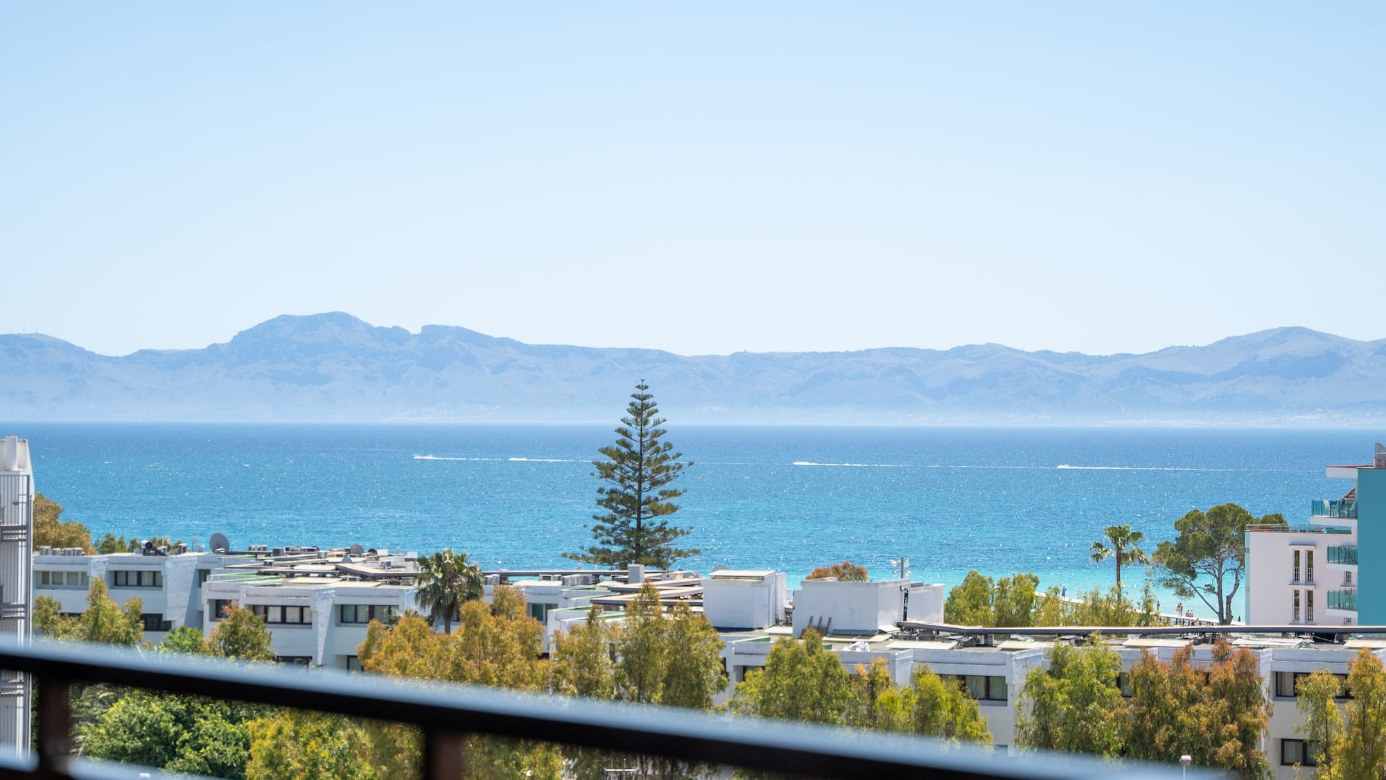 Balcony sea view of coastal buildings, distant mountains, and a tall pine tree.