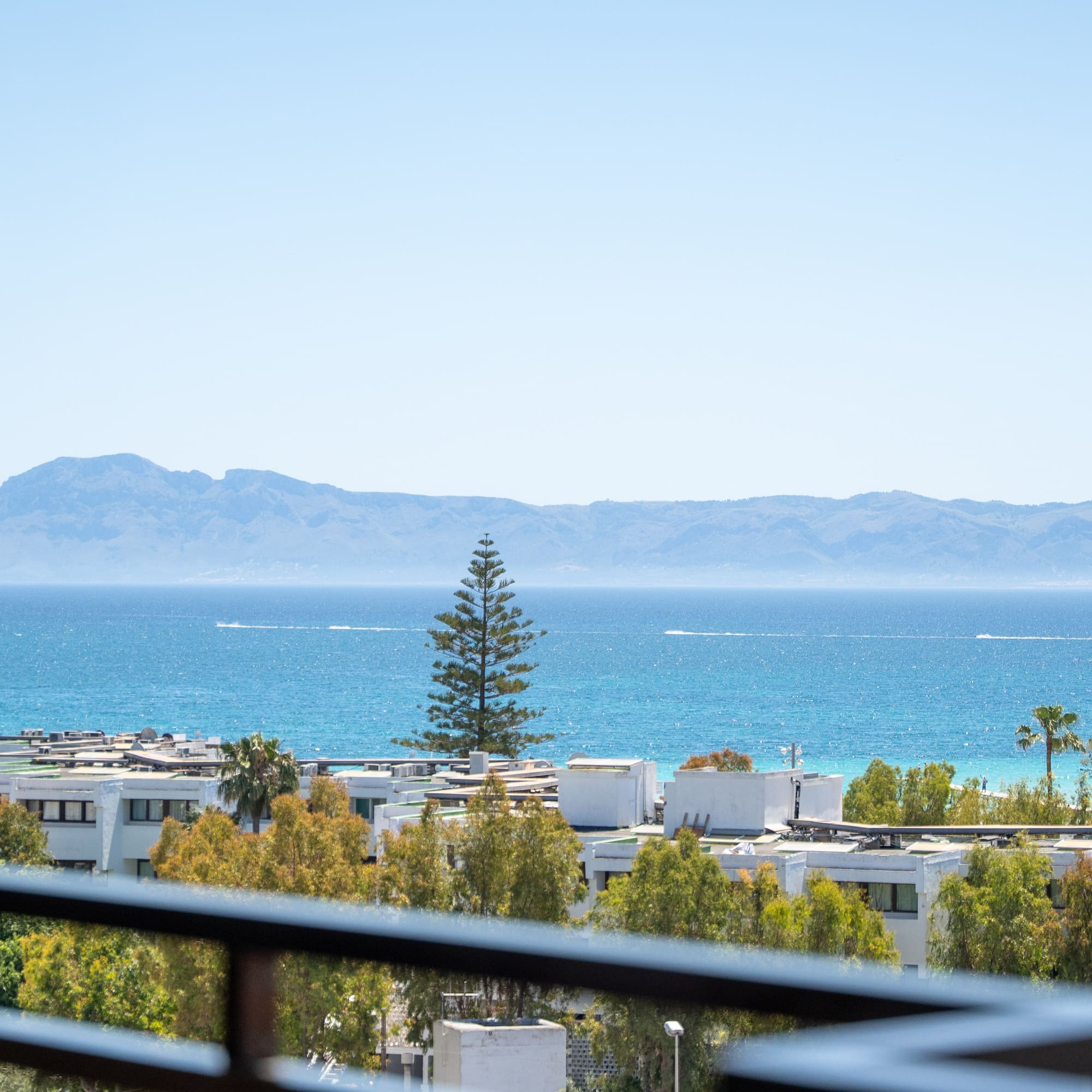 Balcony sea view of coastal buildings, distant mountains, and a tall pine tree.