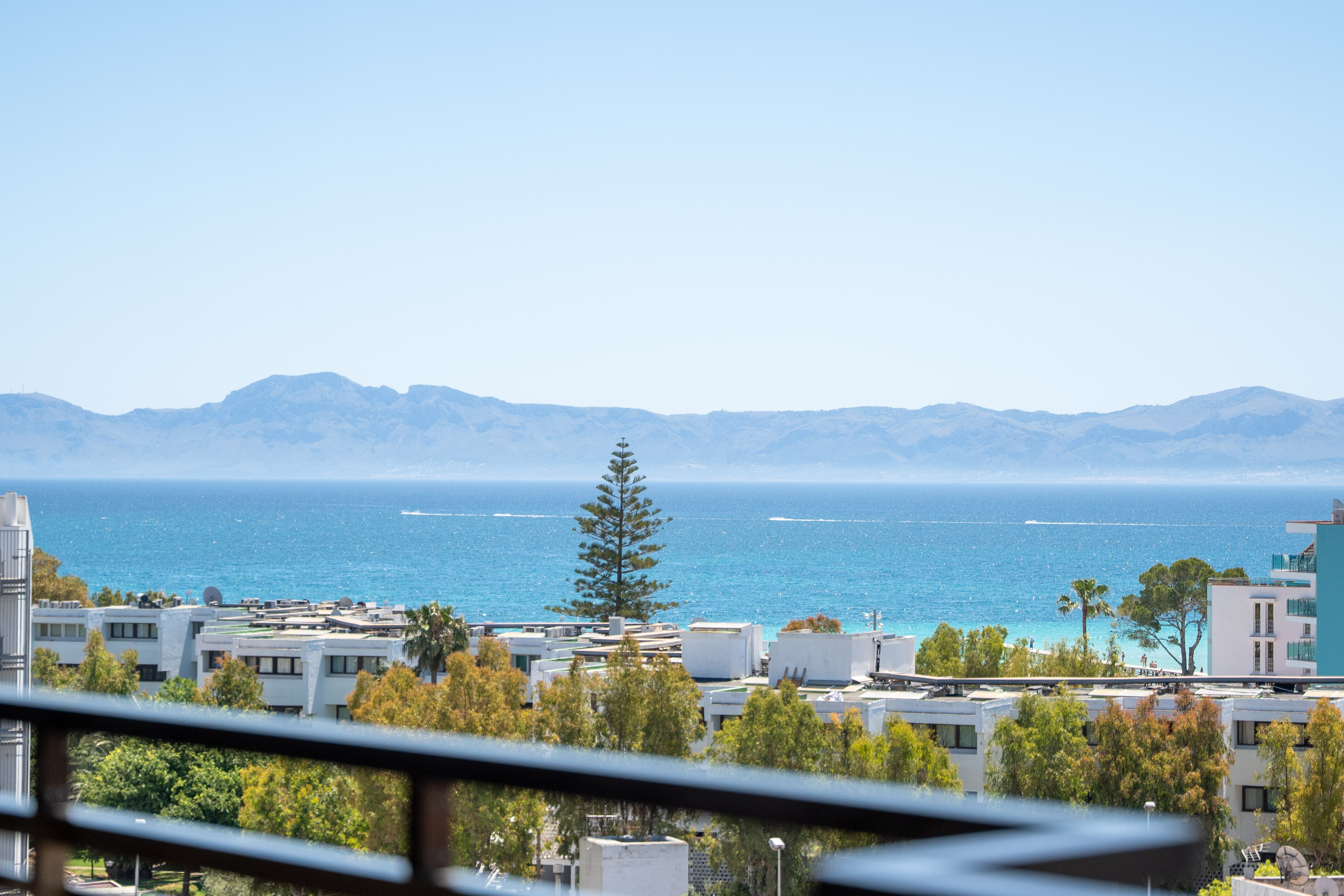 Balcony sea view of coastal buildings, distant mountains, and a tall pine tree.