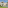 Luxury modern villa with private pool and tropical landscaping.