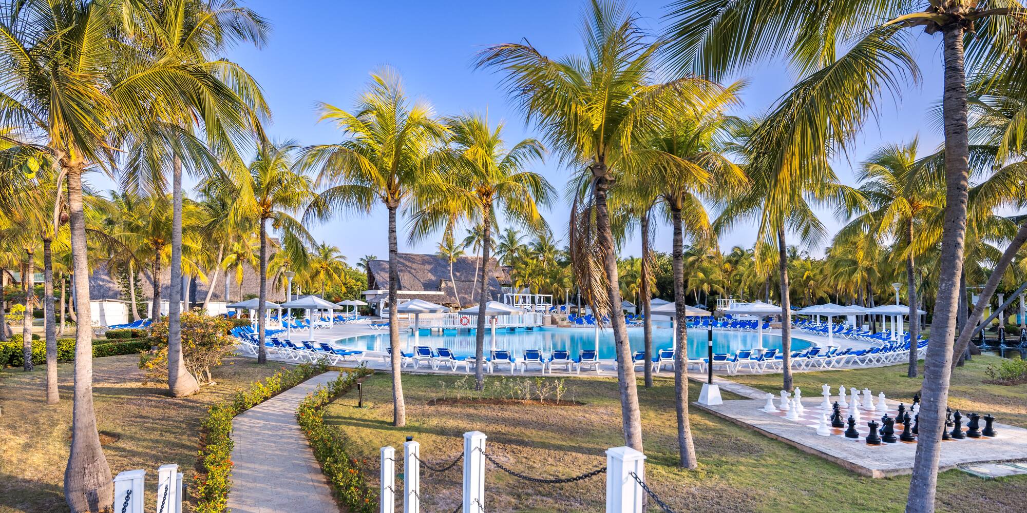 a pool with palm trees and a walkway