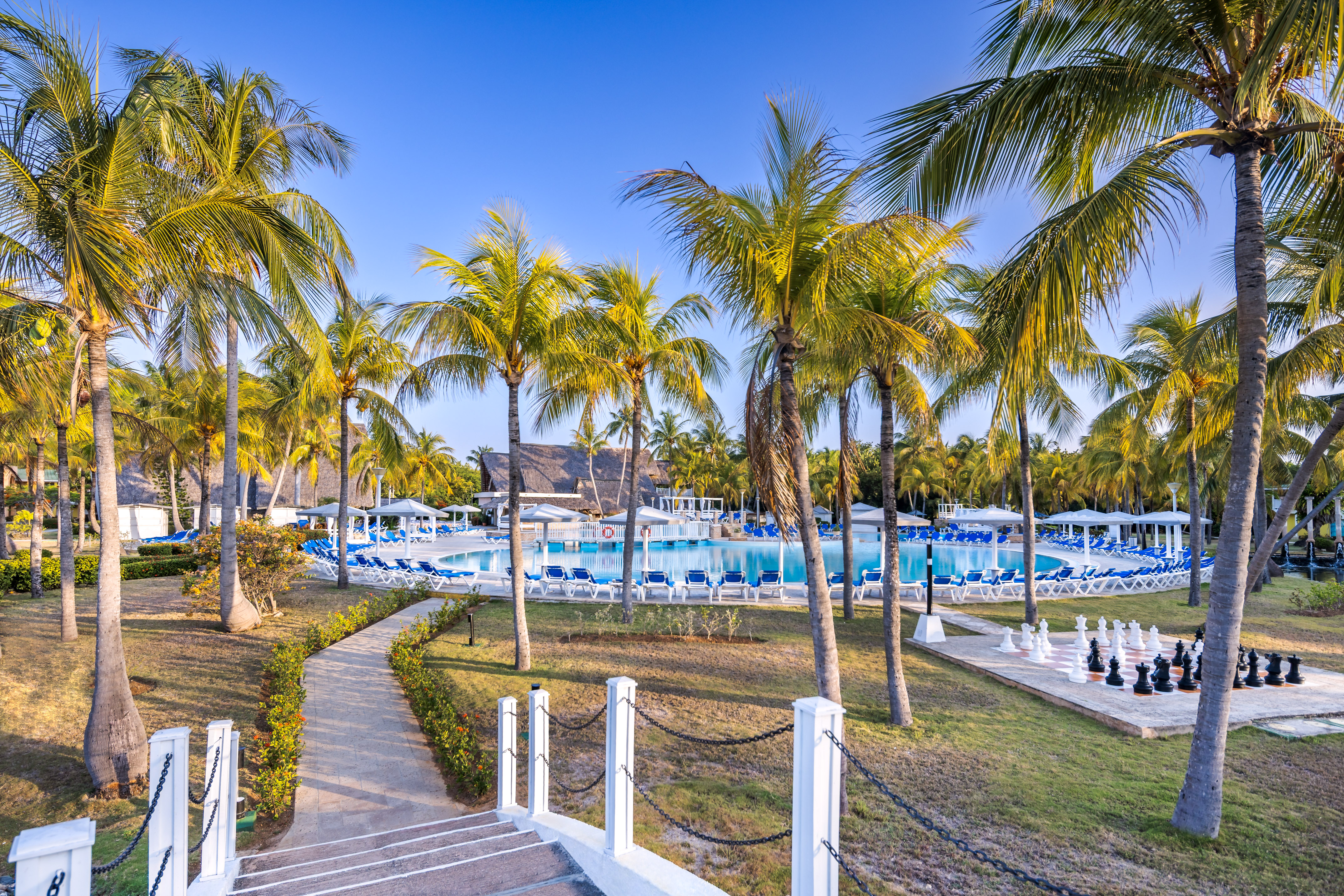 a pool with palm trees and a walkway
