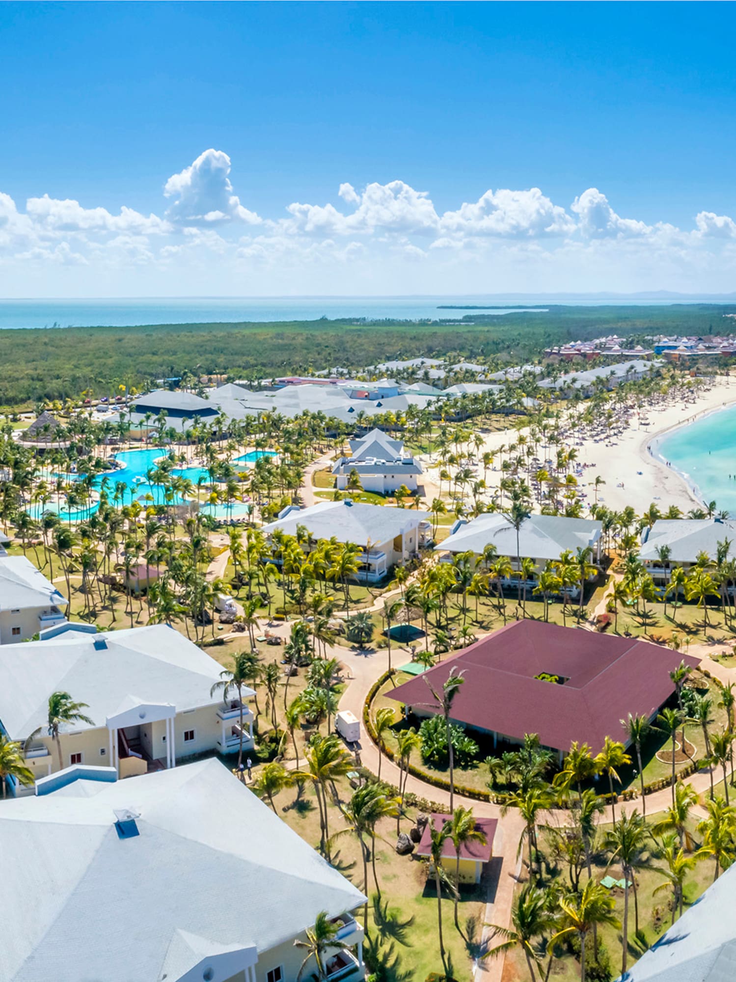 a group of houses with palm trees and a beach