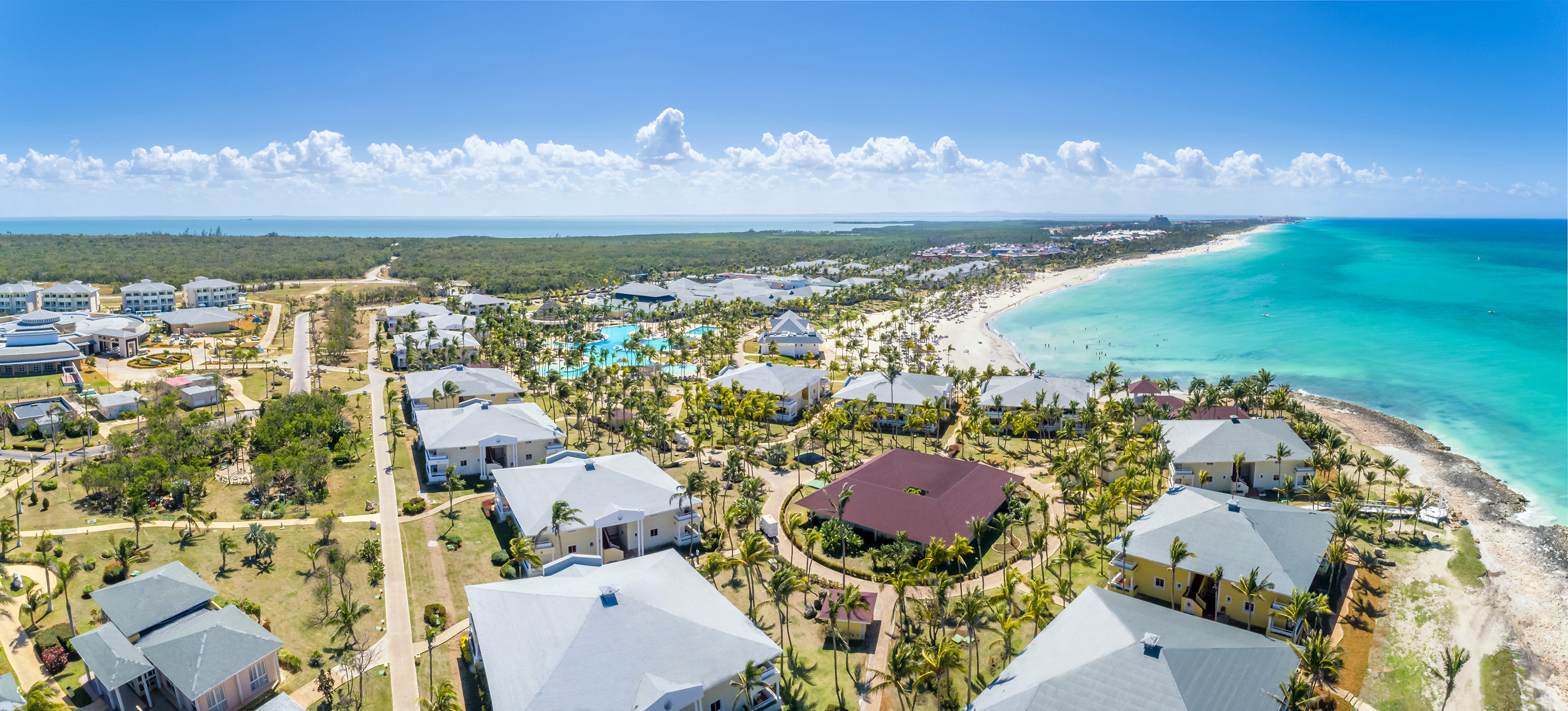 a group of houses with palm trees and a beach