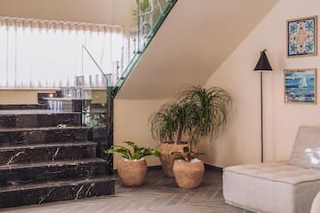 a staircase with a couch and plants in a room