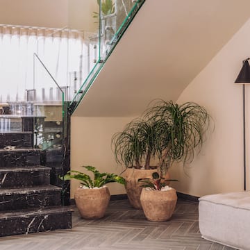a staircase with a couch and plants in a room
