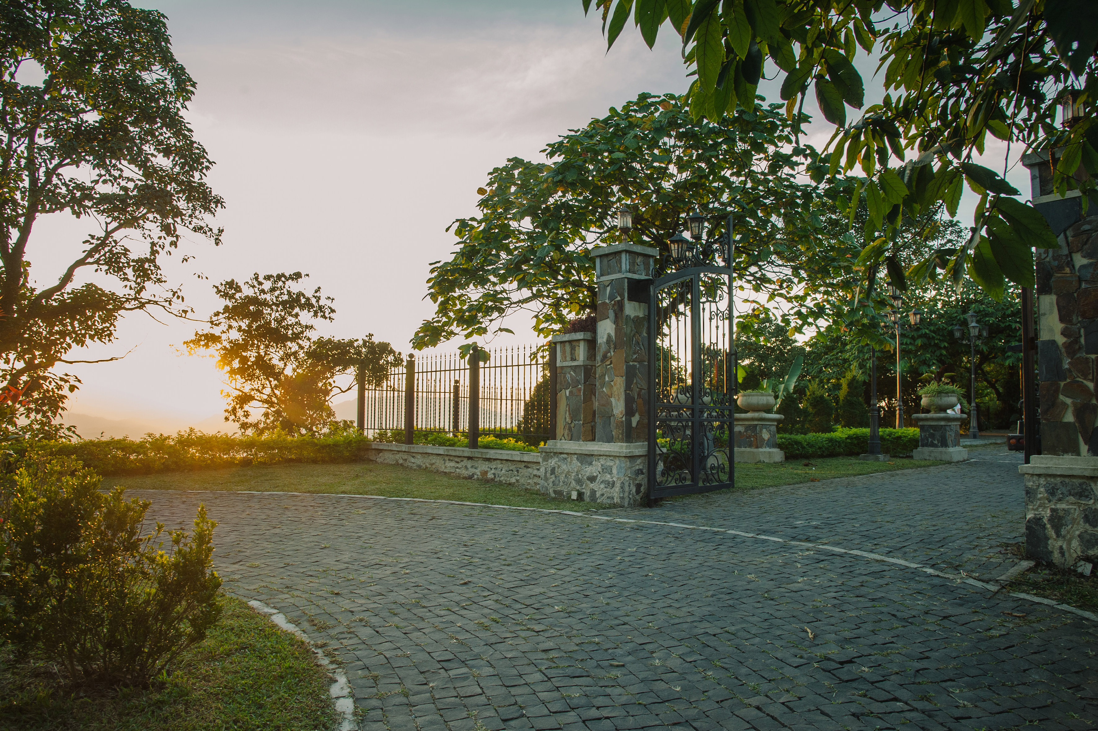 a gated driveway with trees and a fence