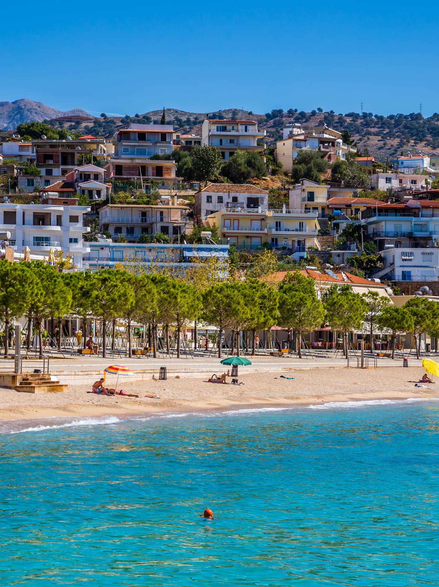 a beach with trees and buildings in the background