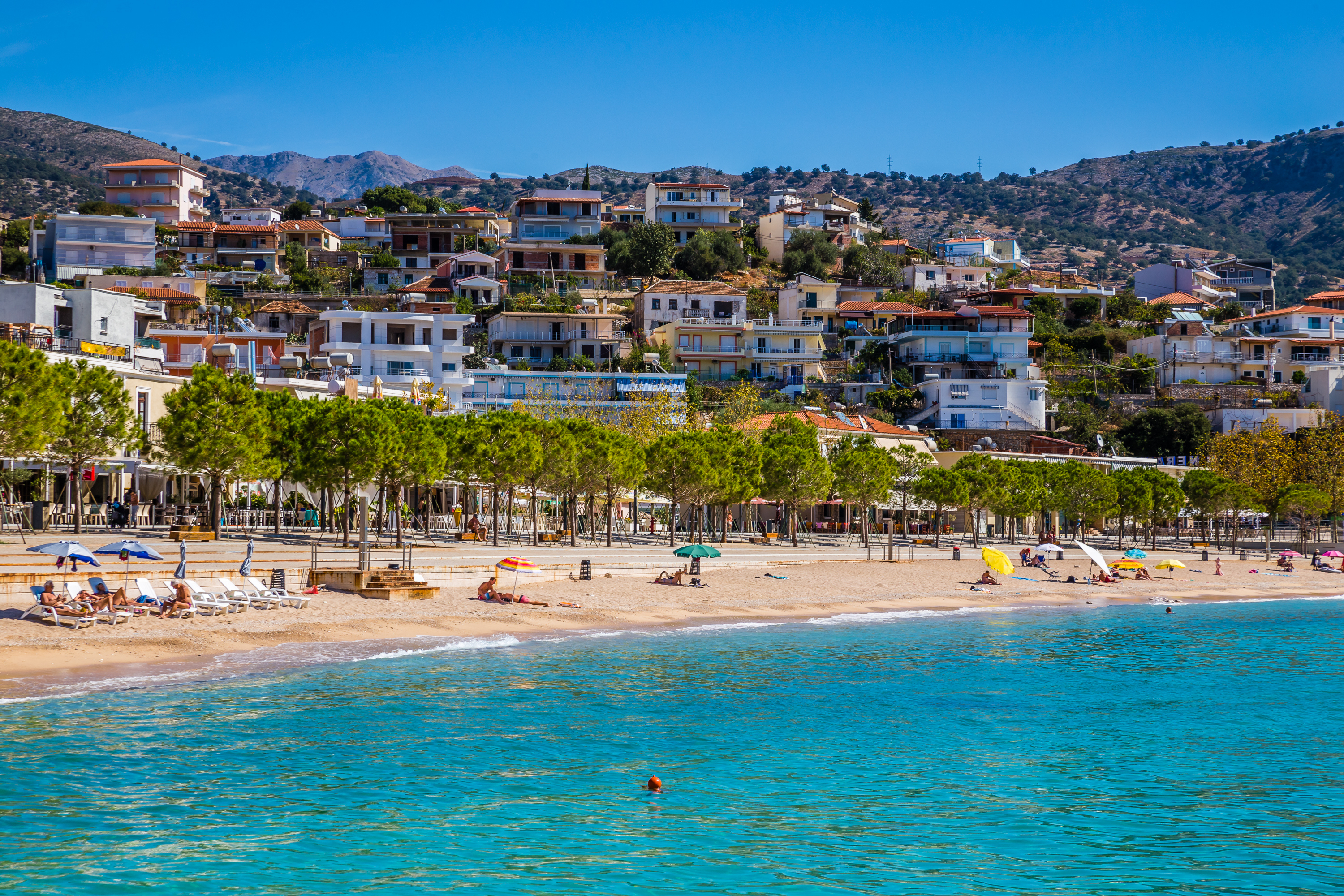 a beach with trees and buildings in the background