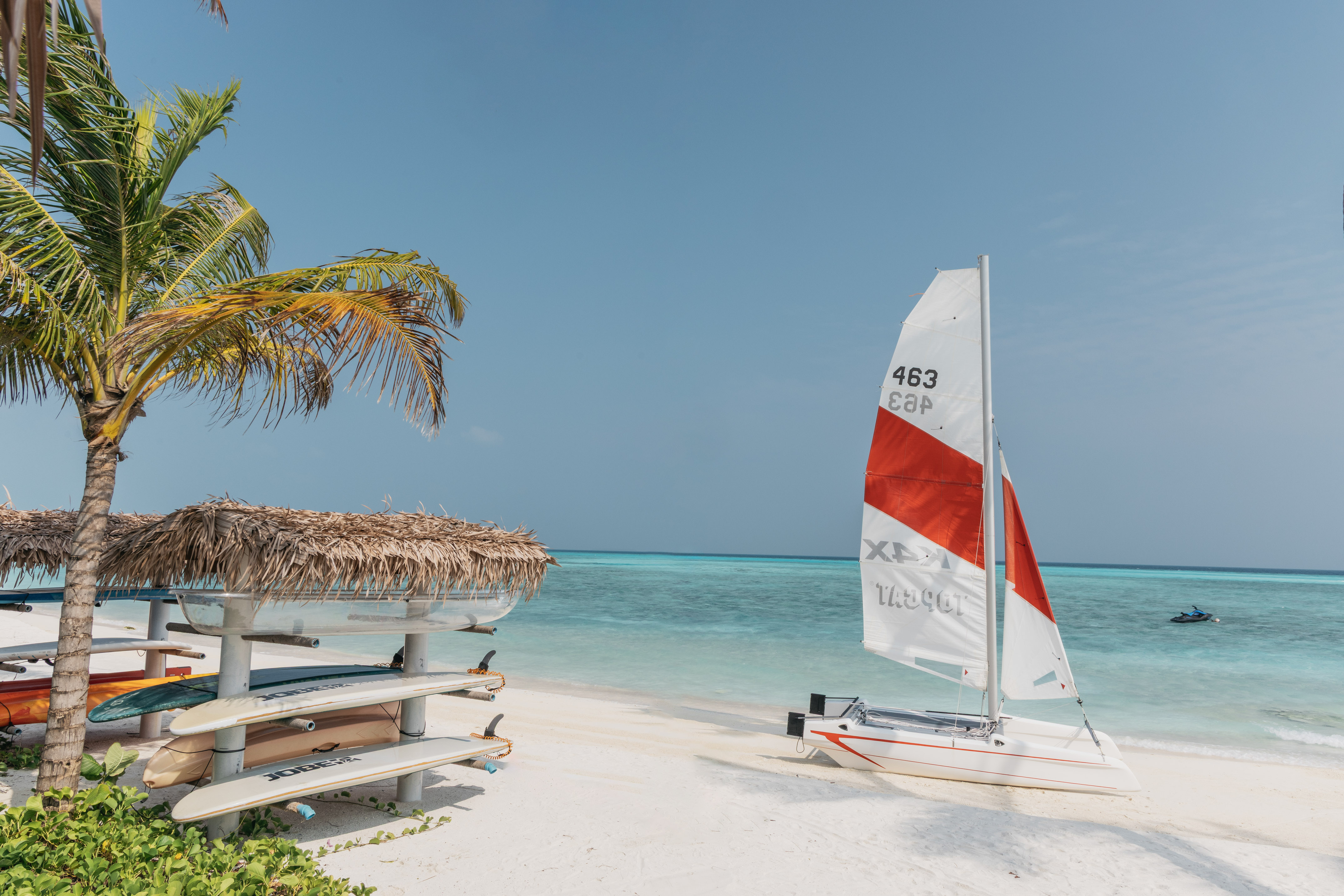 Tropical beach with catamaran, surfboards, palm tree, and turquoise sea.