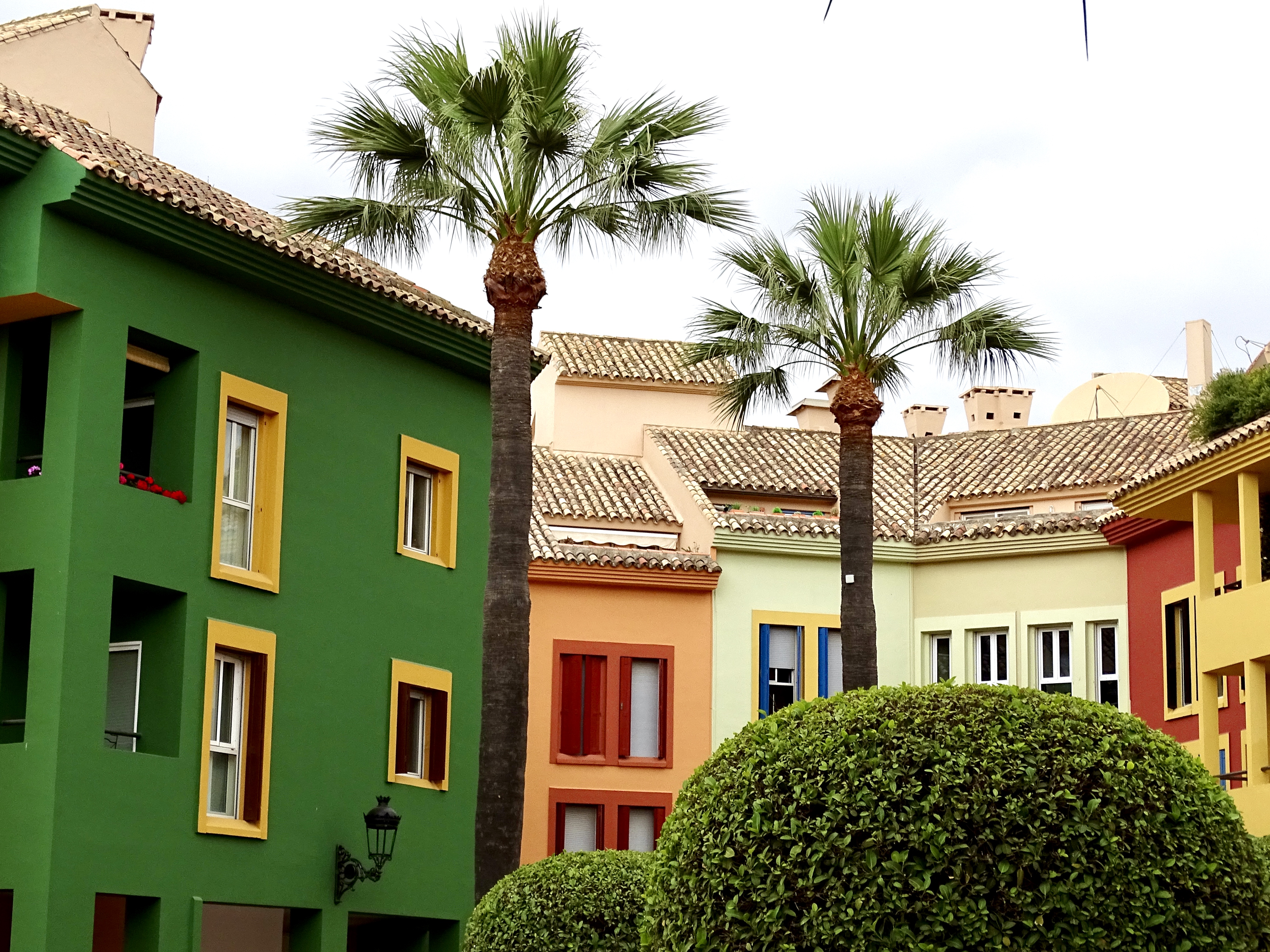 a row of colorful buildings with palm trees