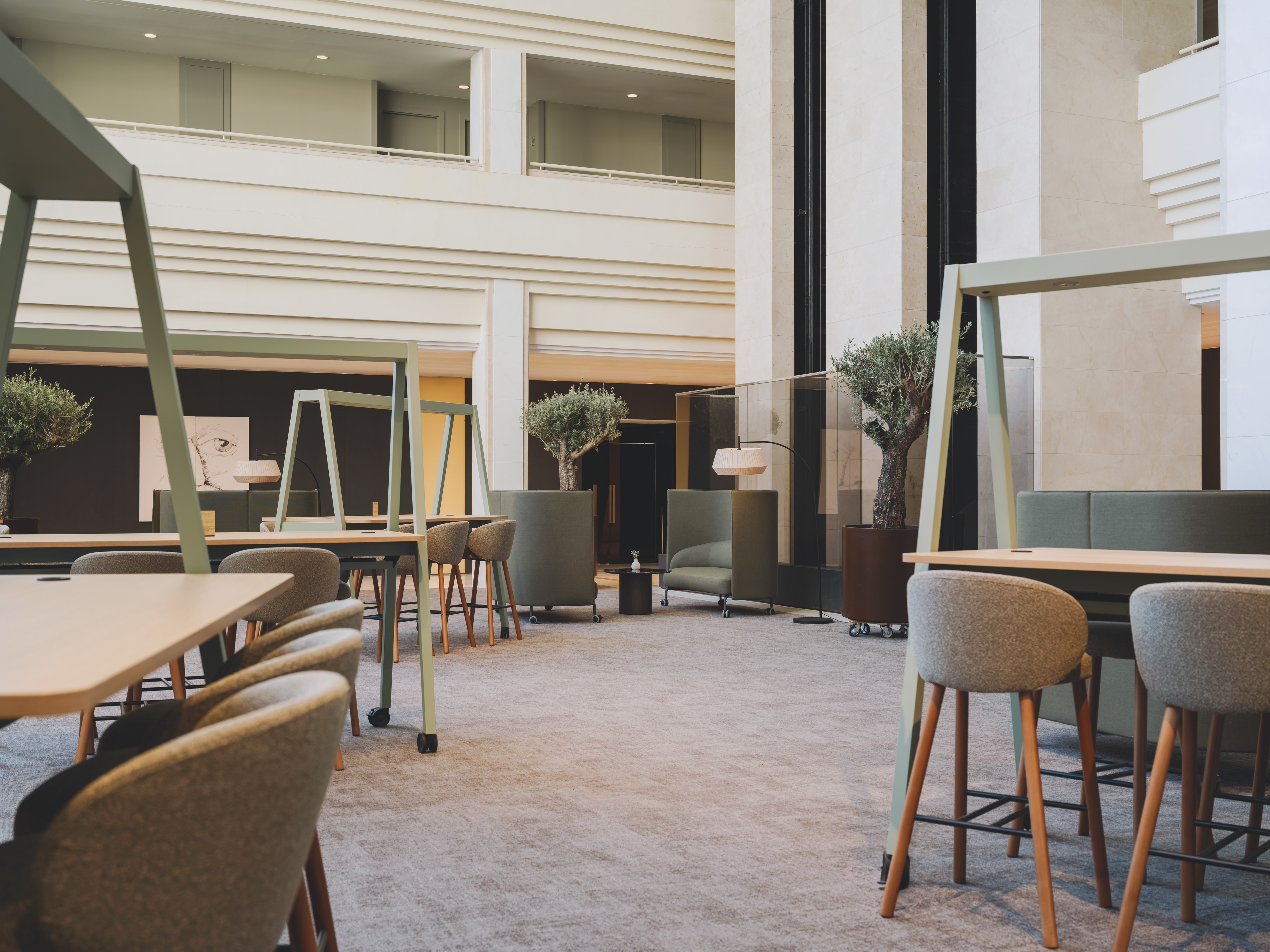 Contemporary office interior with green desks, grey chairs, and potted olive trees.