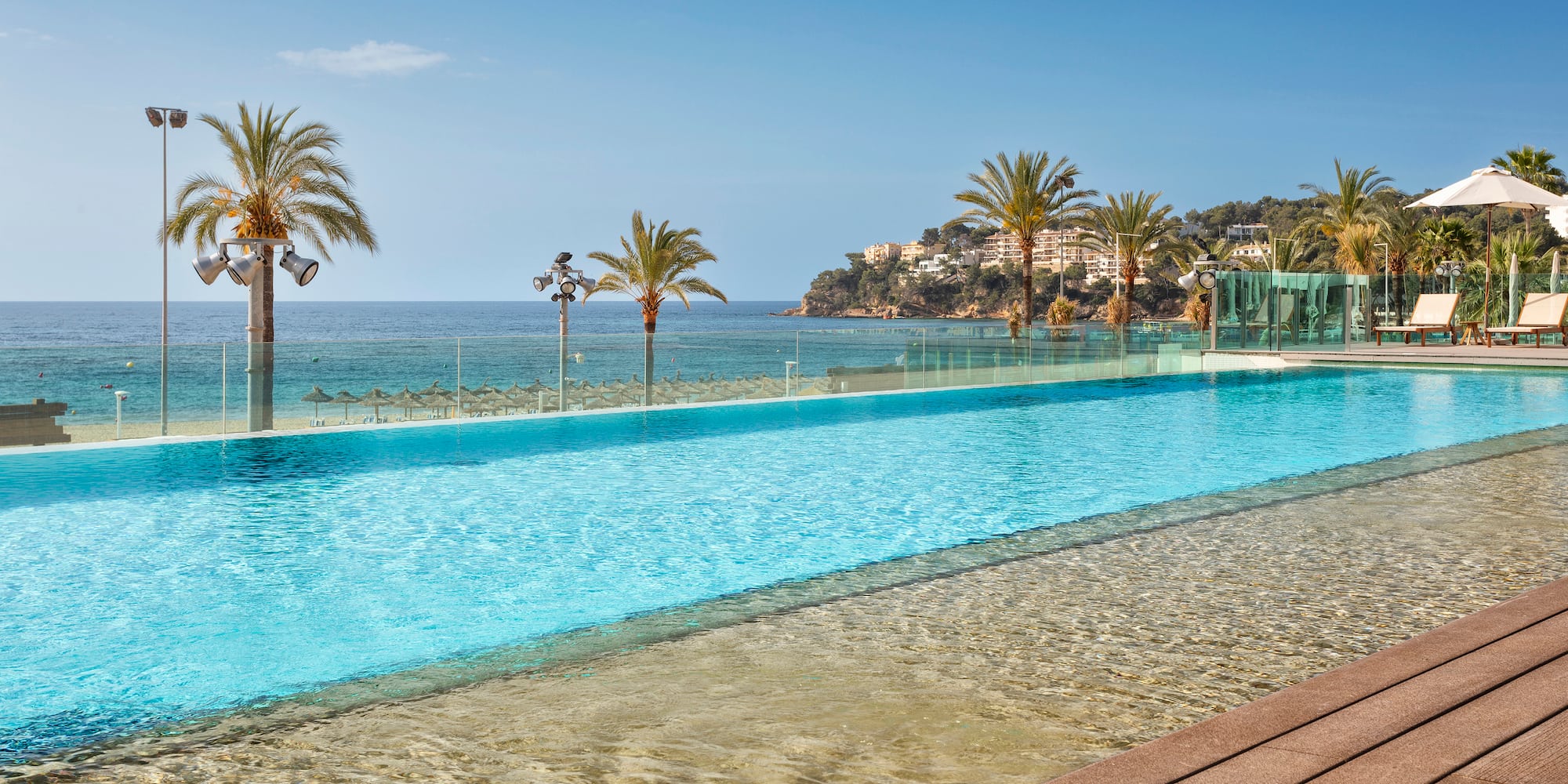 a pool with palm trees and a beach in the background