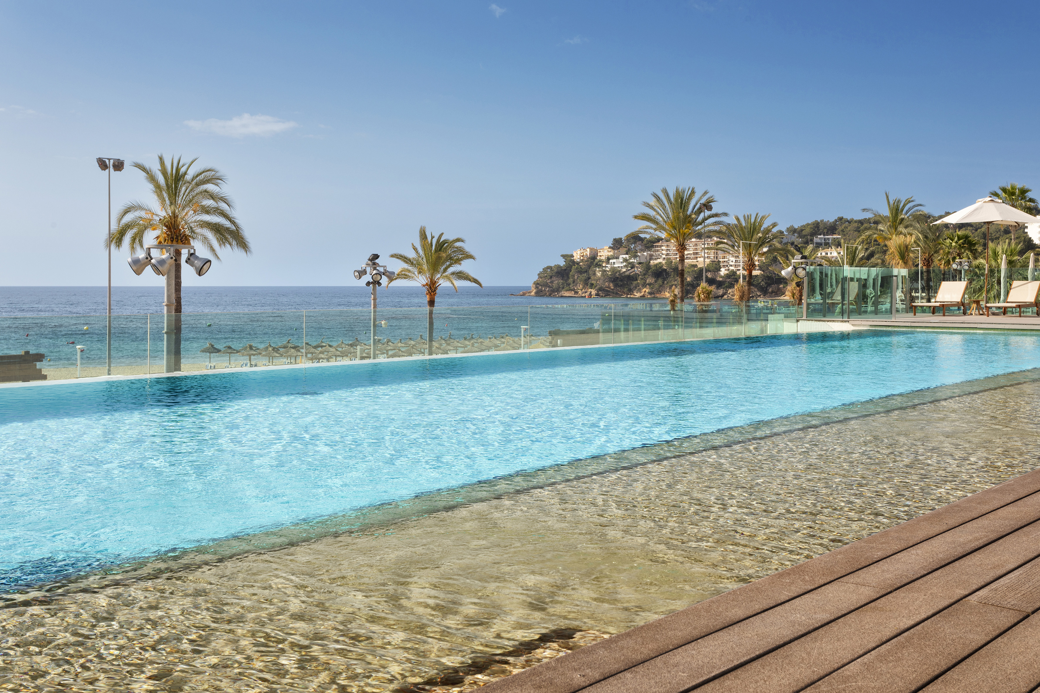 Beachfront infinity pool overlooking calm blue ocean with palm trees.
