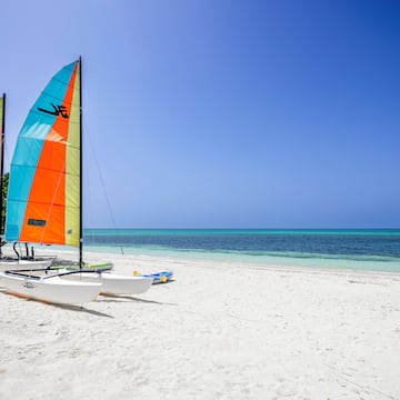 sail boats on a beach