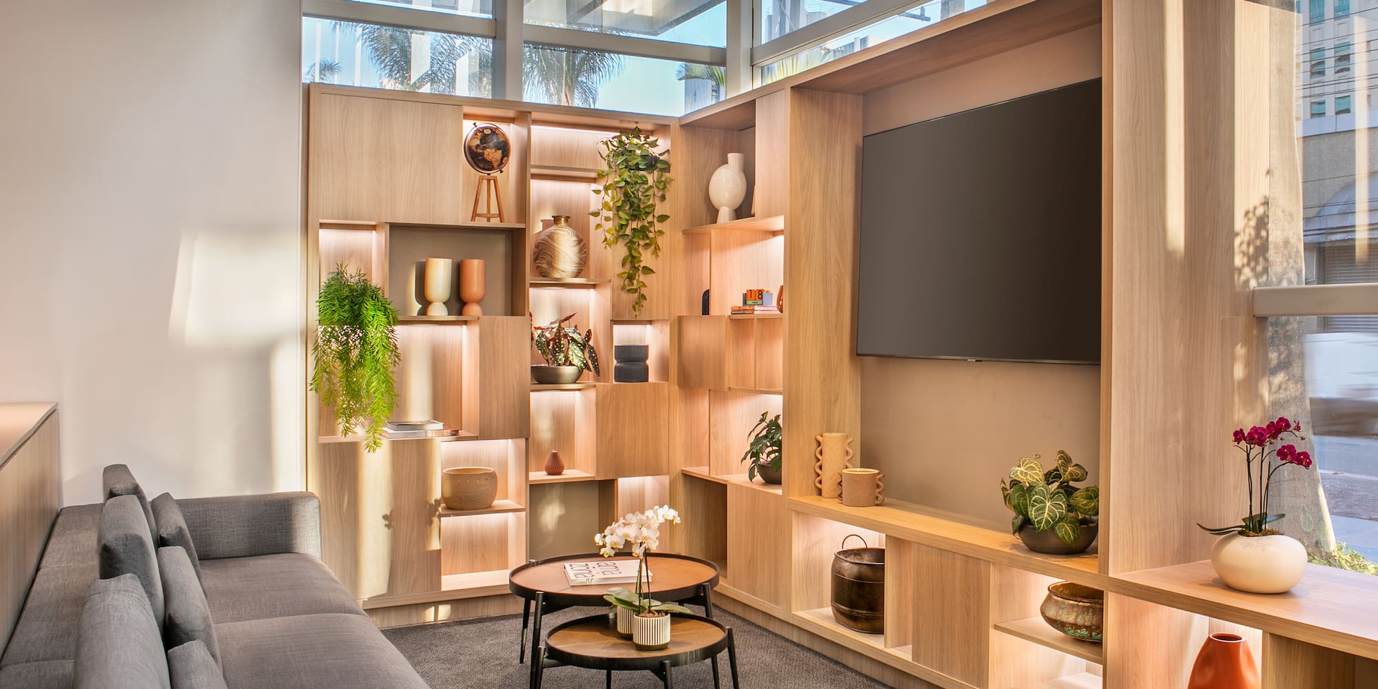 Modern lounge with wood display shelving, gray sofa, decorative plants, and natural light.