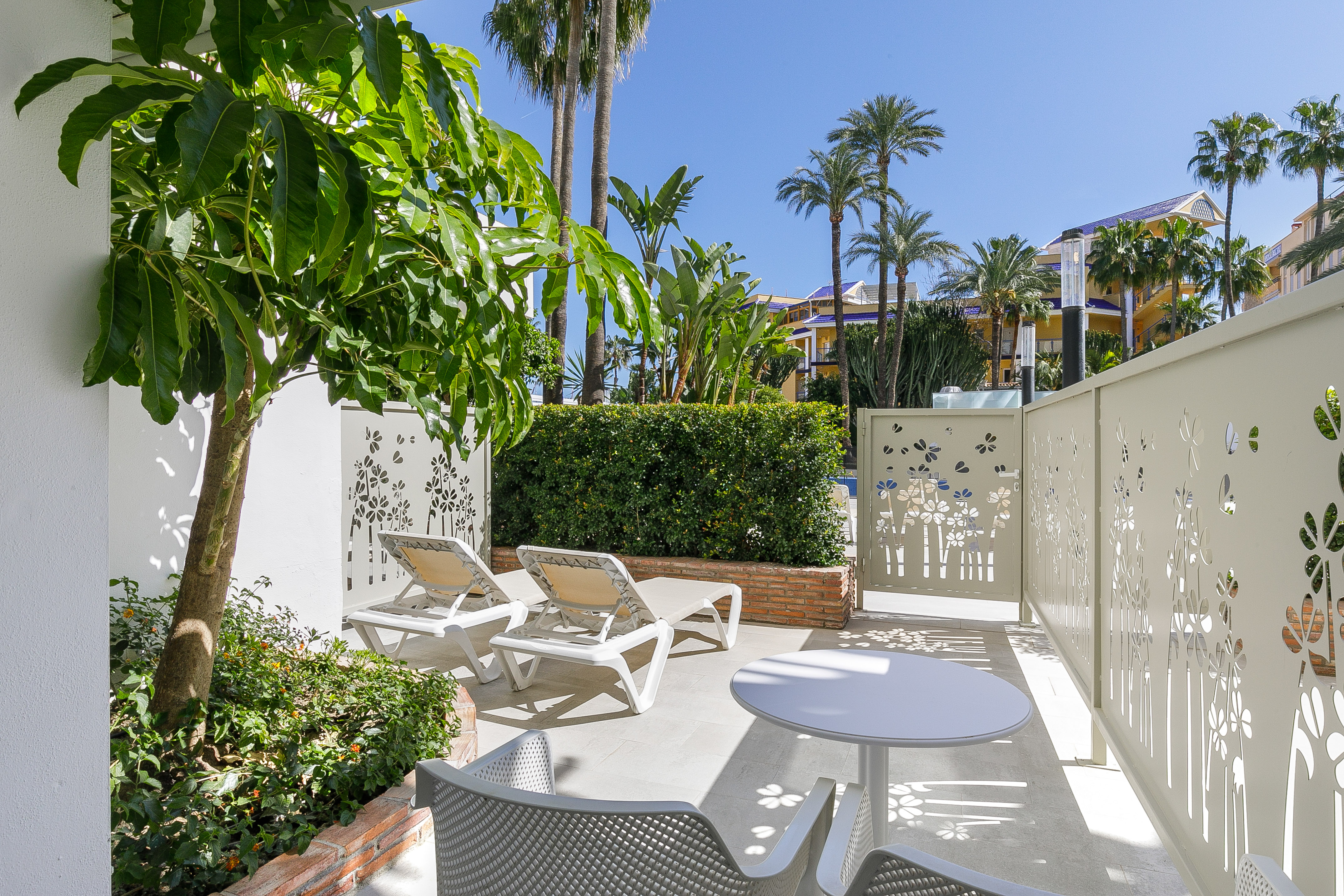 Resort patio with lounge chairs, table, palm trees, and privacy screens.
