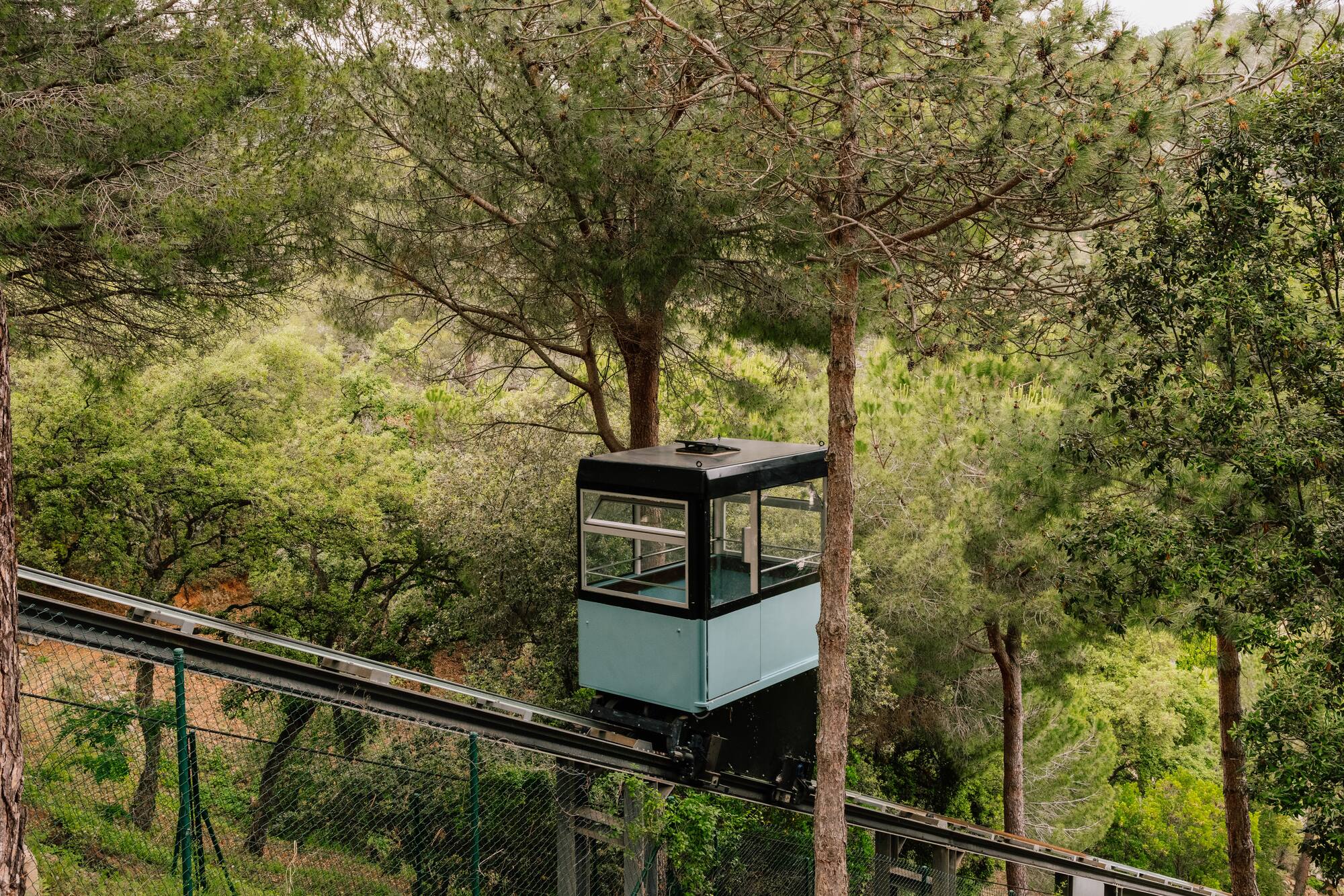 Light blue funicular cabin on tracks, surrounded by lush green trees.