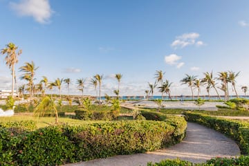 a path leading to a beach with palm trees