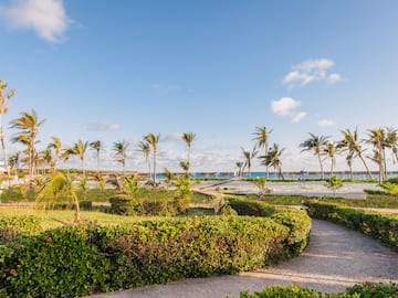 a path leading to a beach with palm trees