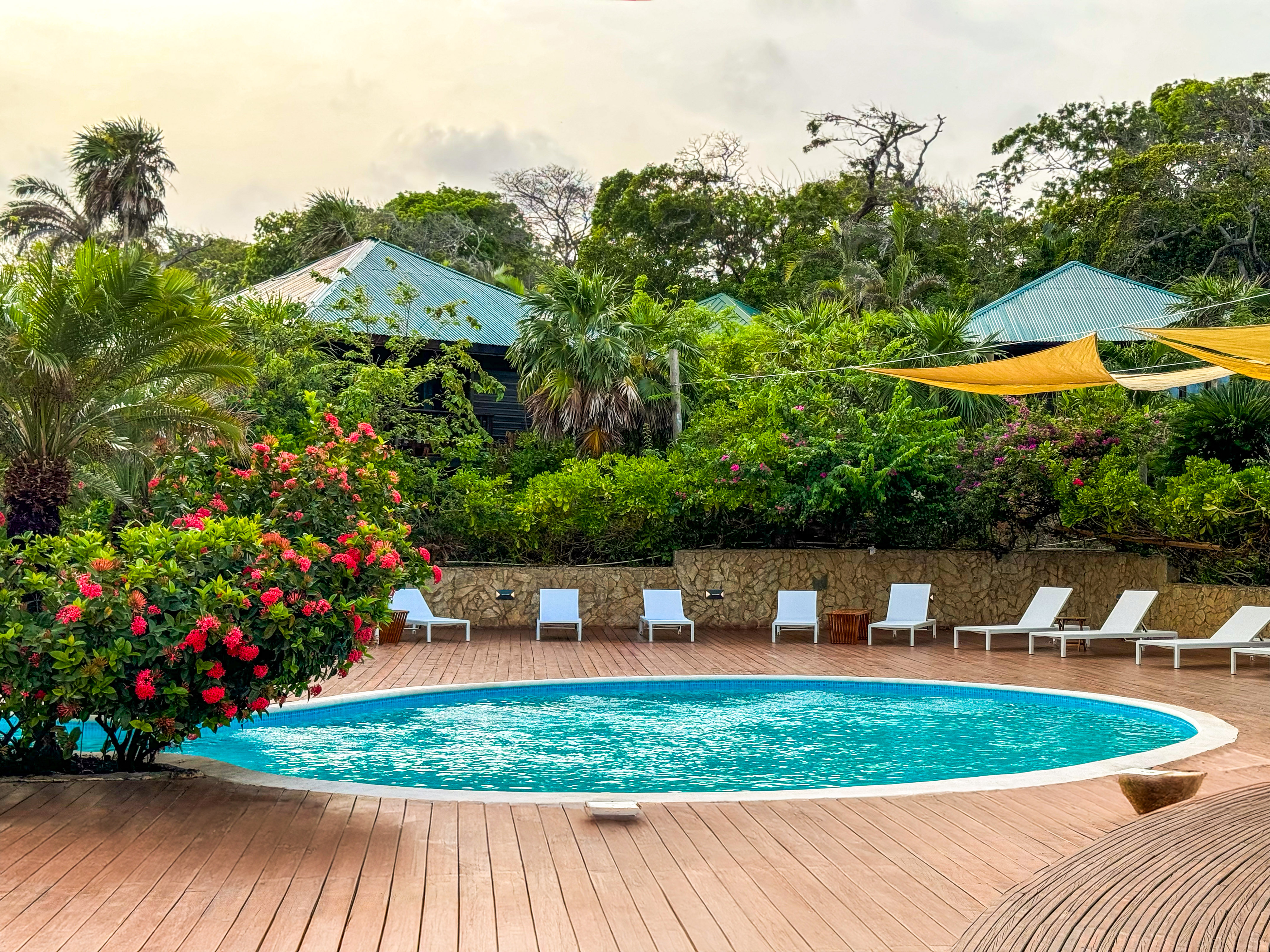 Tropical pool with wooden deck, lounge chairs, and lush greenery.