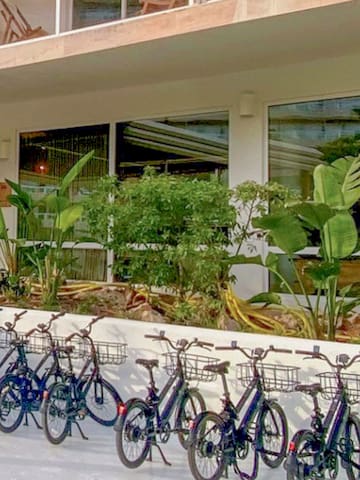 a row of bicycles in front of a building