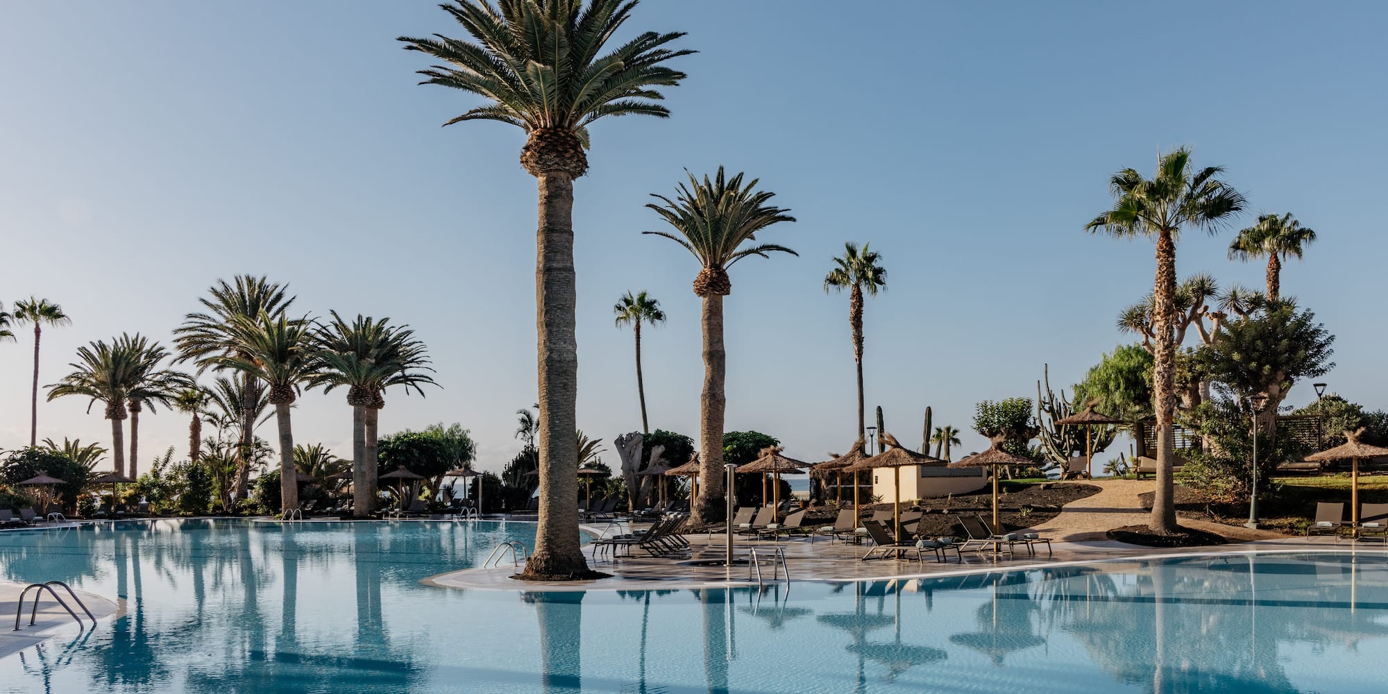 a pool with palm trees and umbrellas