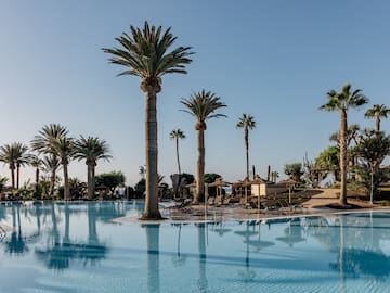 a pool with palm trees and umbrellas