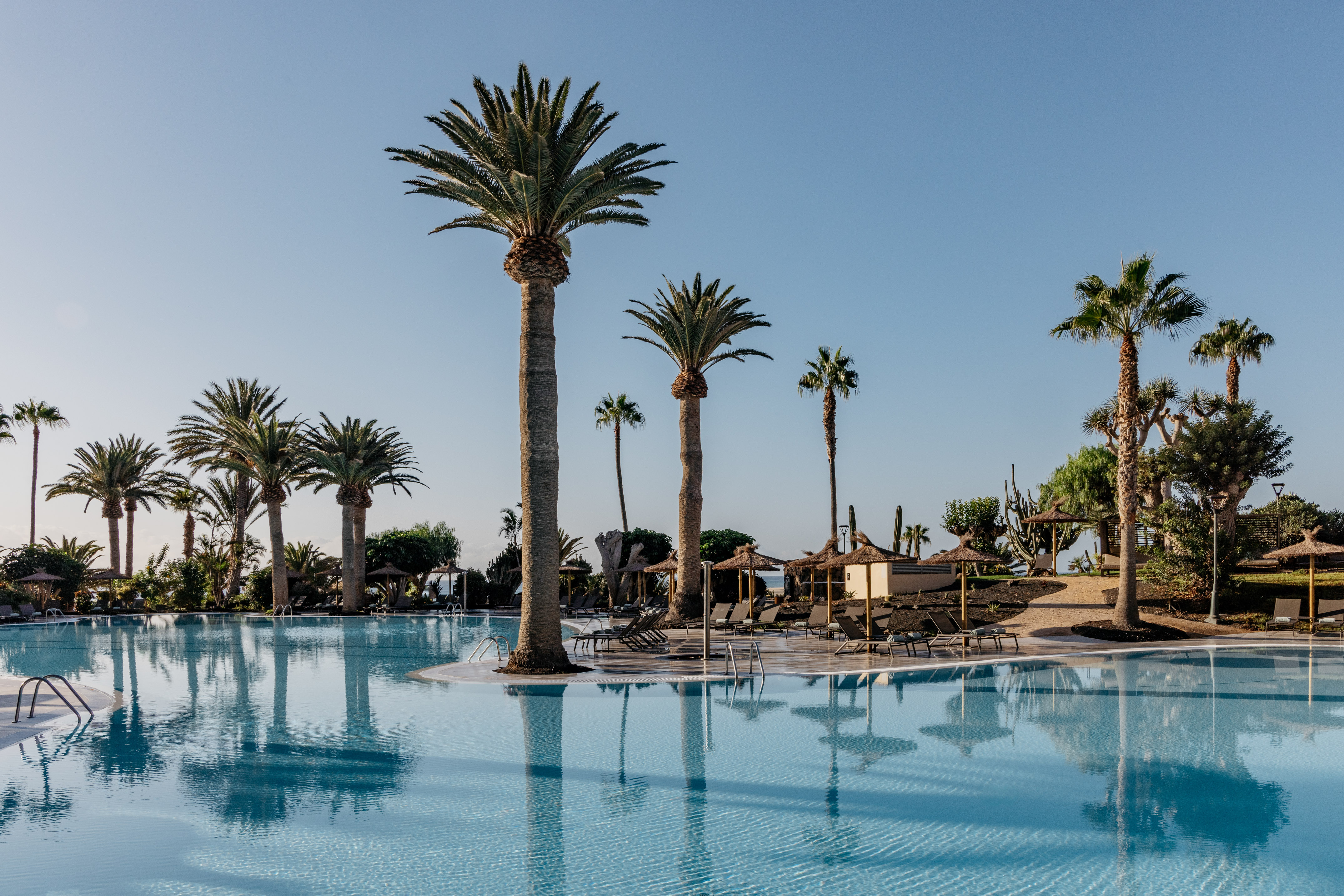 Tropical resort pool with palm trees, sun loungers, and thatched parasols.
