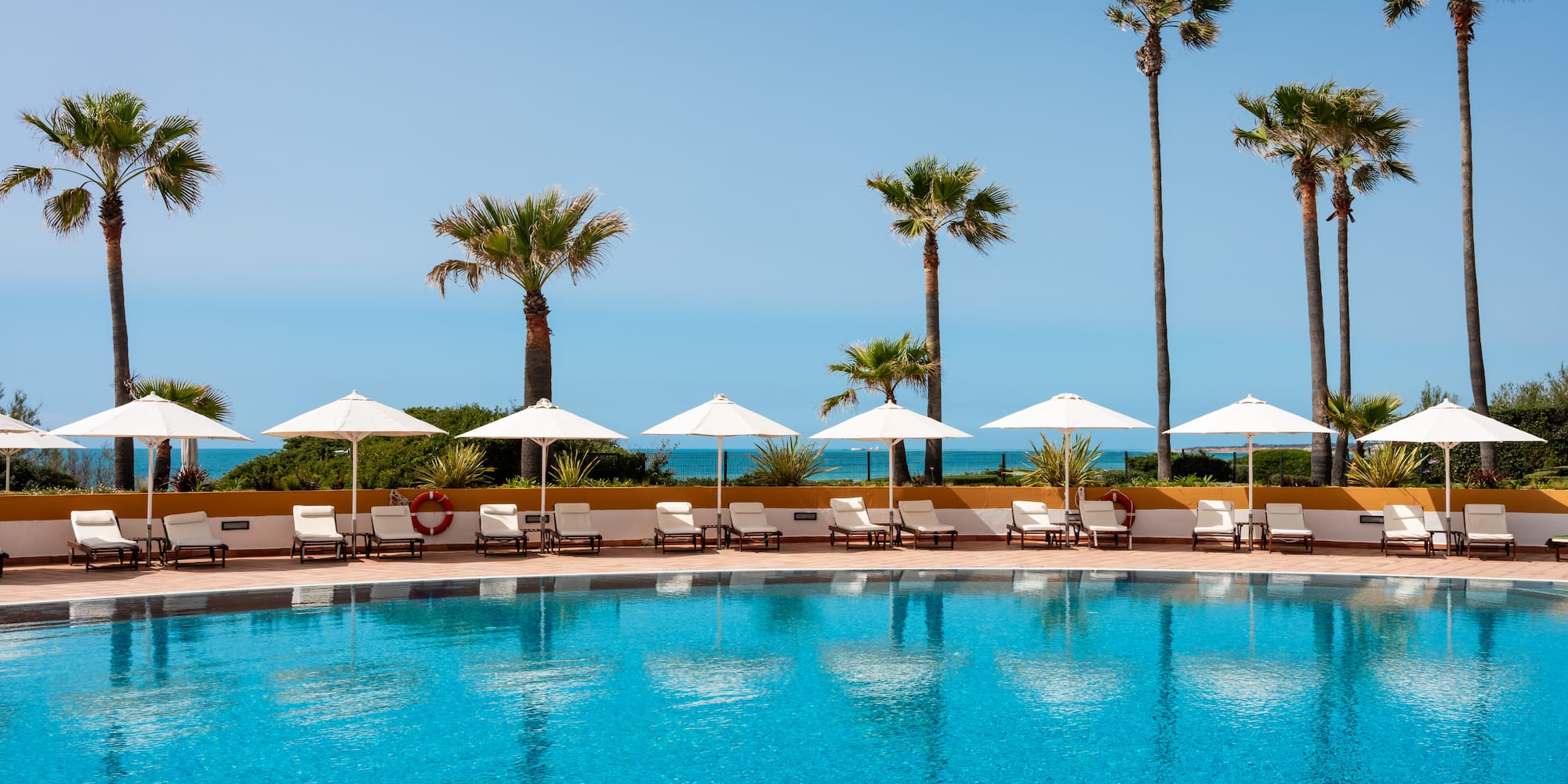 a pool with umbrellas and palm trees