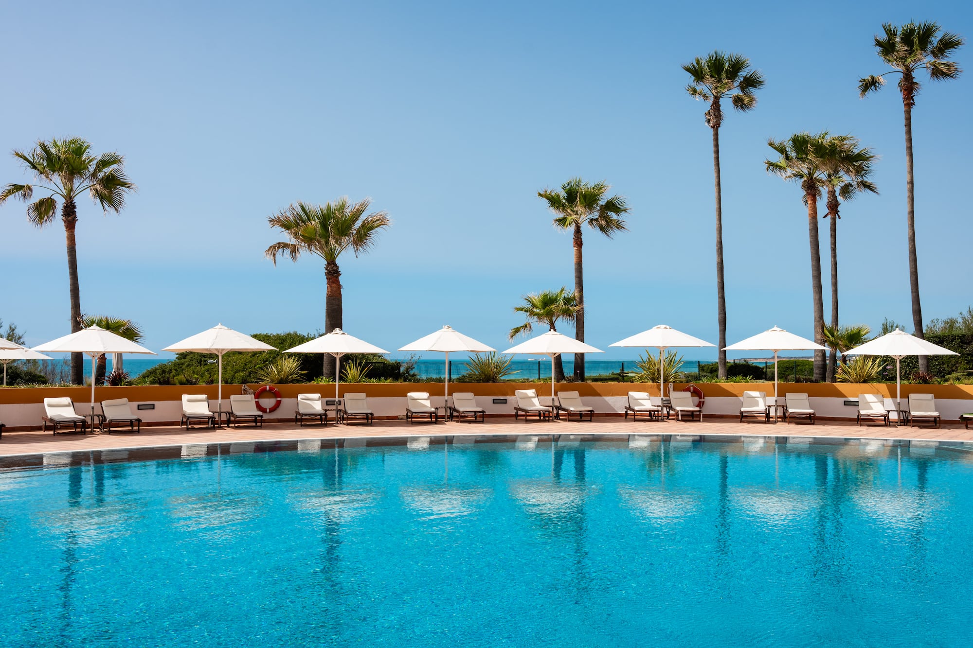 a pool with umbrellas and palm trees