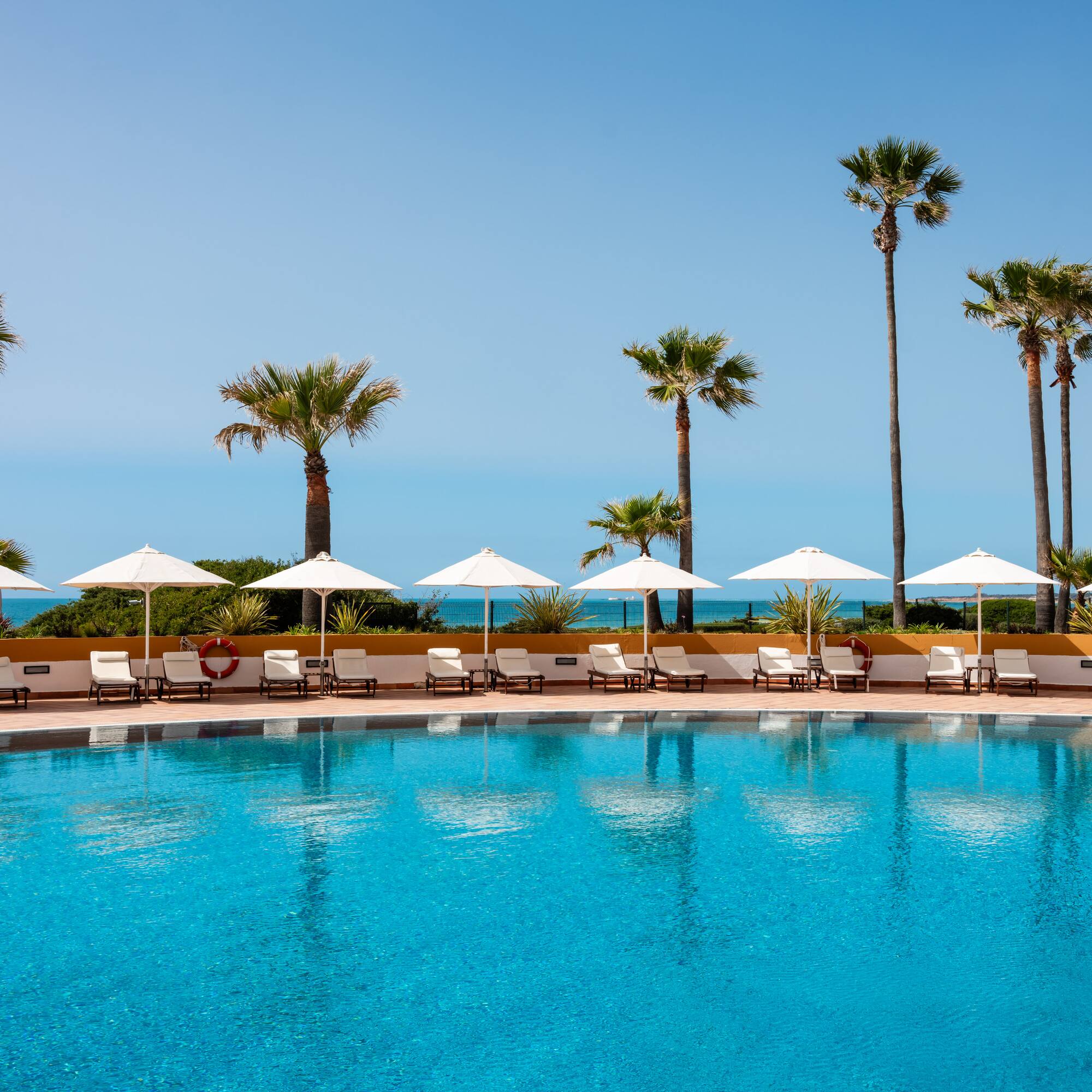 a pool with umbrellas and palm trees