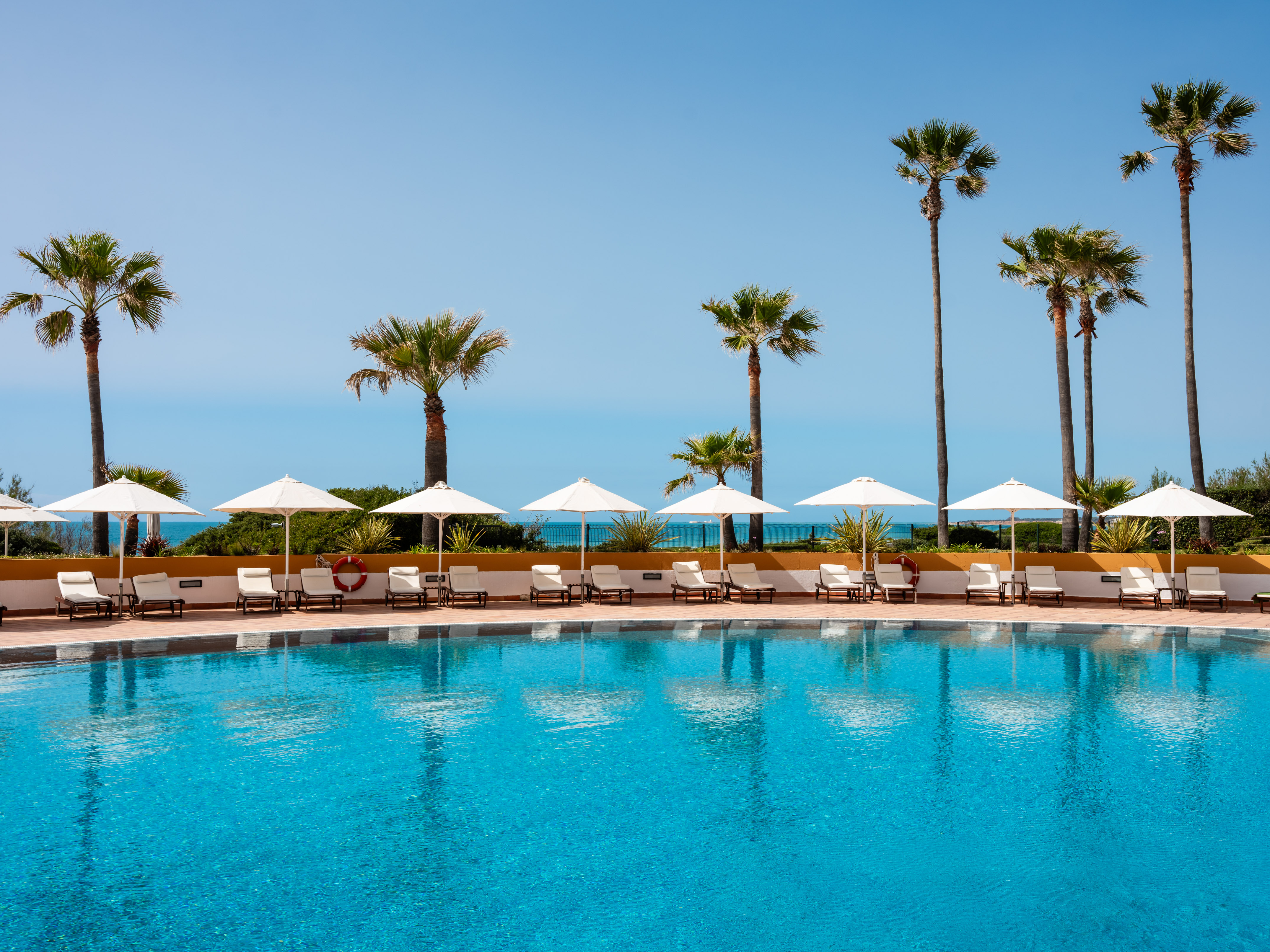 Resort swimming pool with sun loungers, umbrellas, palm trees, and ocean.