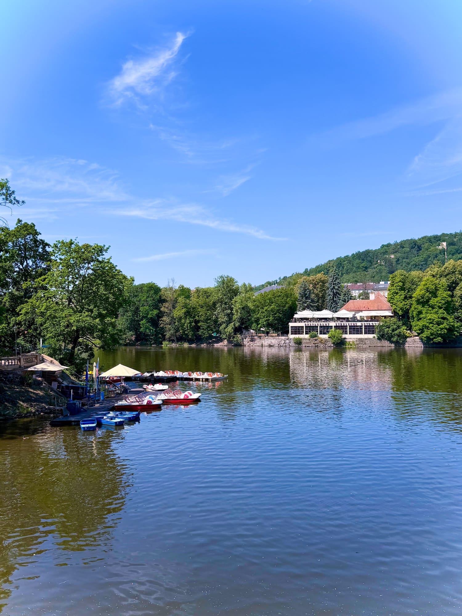 Lake with docked pedal boats, lush green trees, and a waterfront restaurant under blue sky.