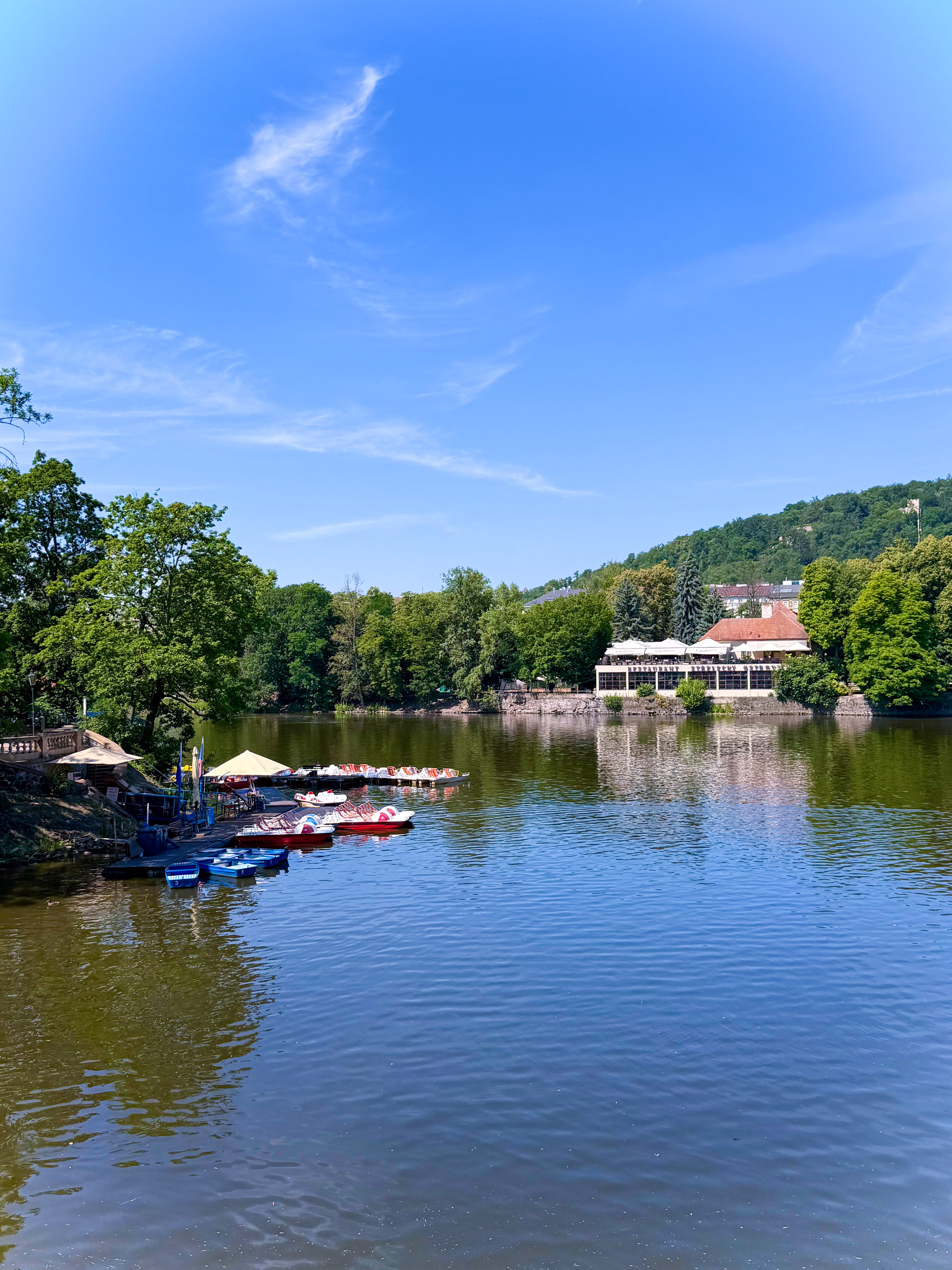 Lake with docked pedal boats, lush green trees, and a waterfront restaurant under blue sky.