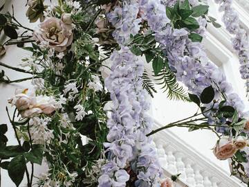 a bunch of flowers on a wall