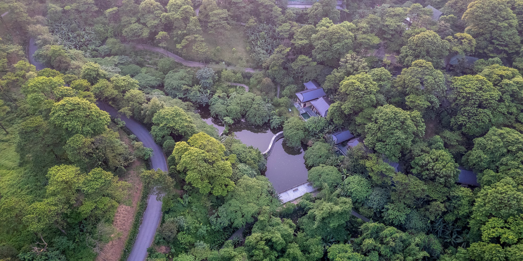 a house surrounded by trees