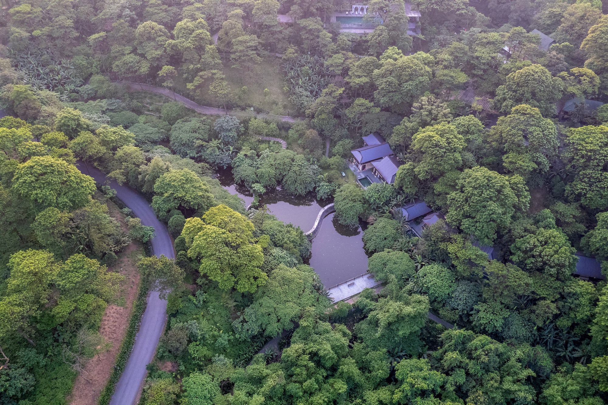 a house surrounded by trees