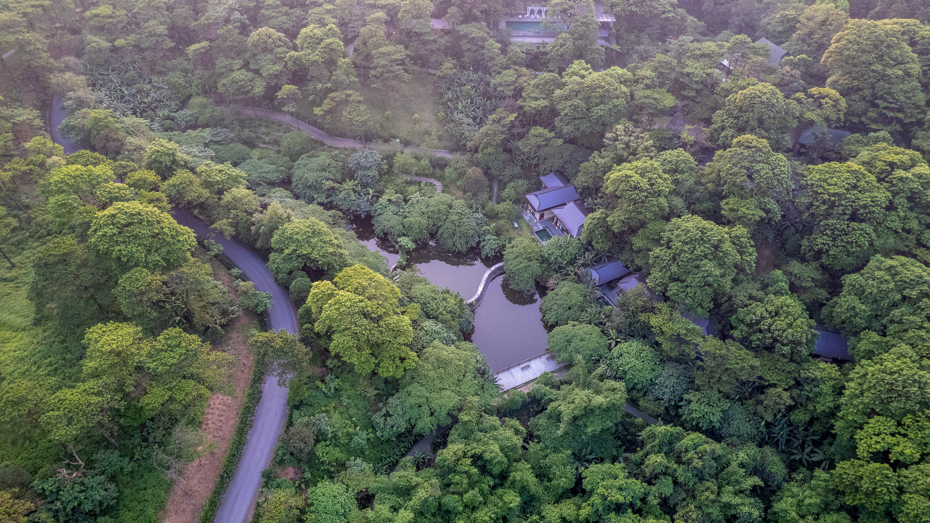 a house surrounded by trees