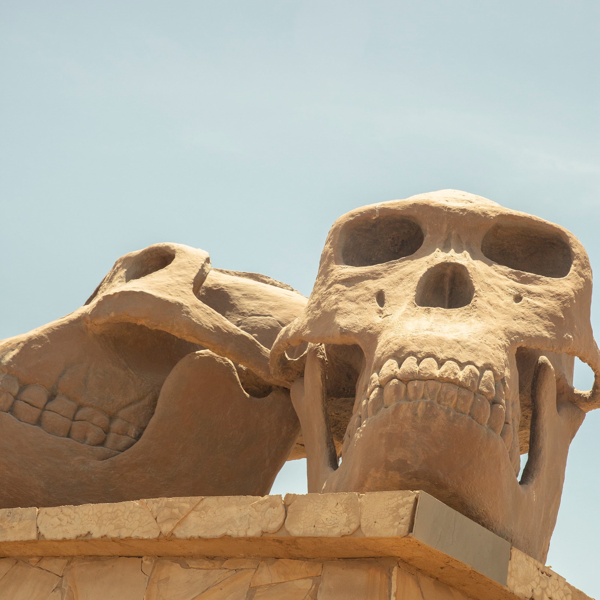a stone skull statues on a wall
