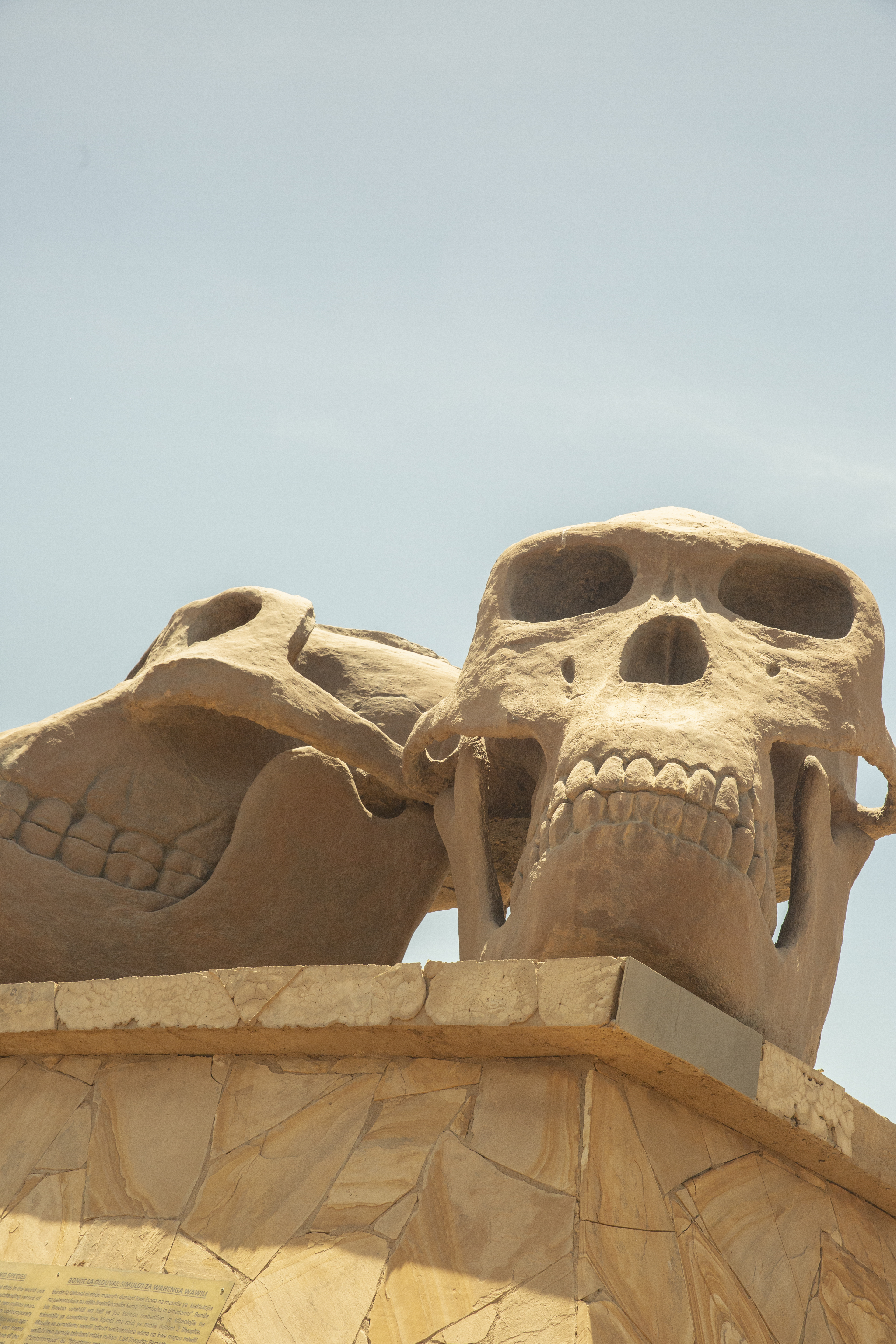 a stone skull statues on a wall