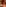 Restaurant interior: red checkered floor, red curtains, dining tables, plants.