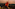 Cityscape at dusk with illuminated buildings and blurry red foreground.