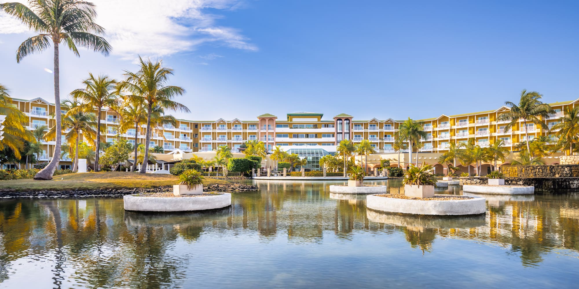 a body of water with trees and plants in it