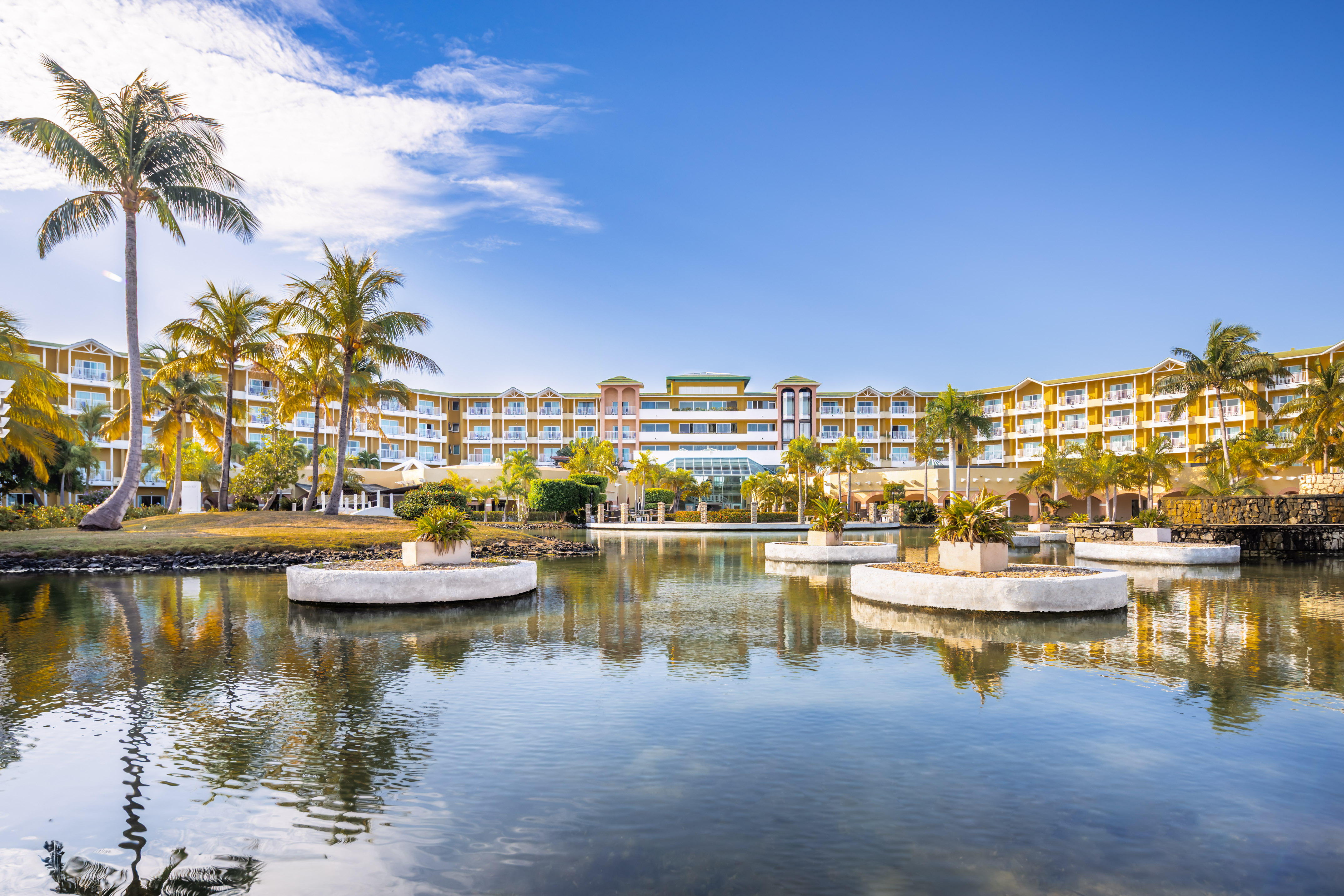 a body of water with trees and plants in it