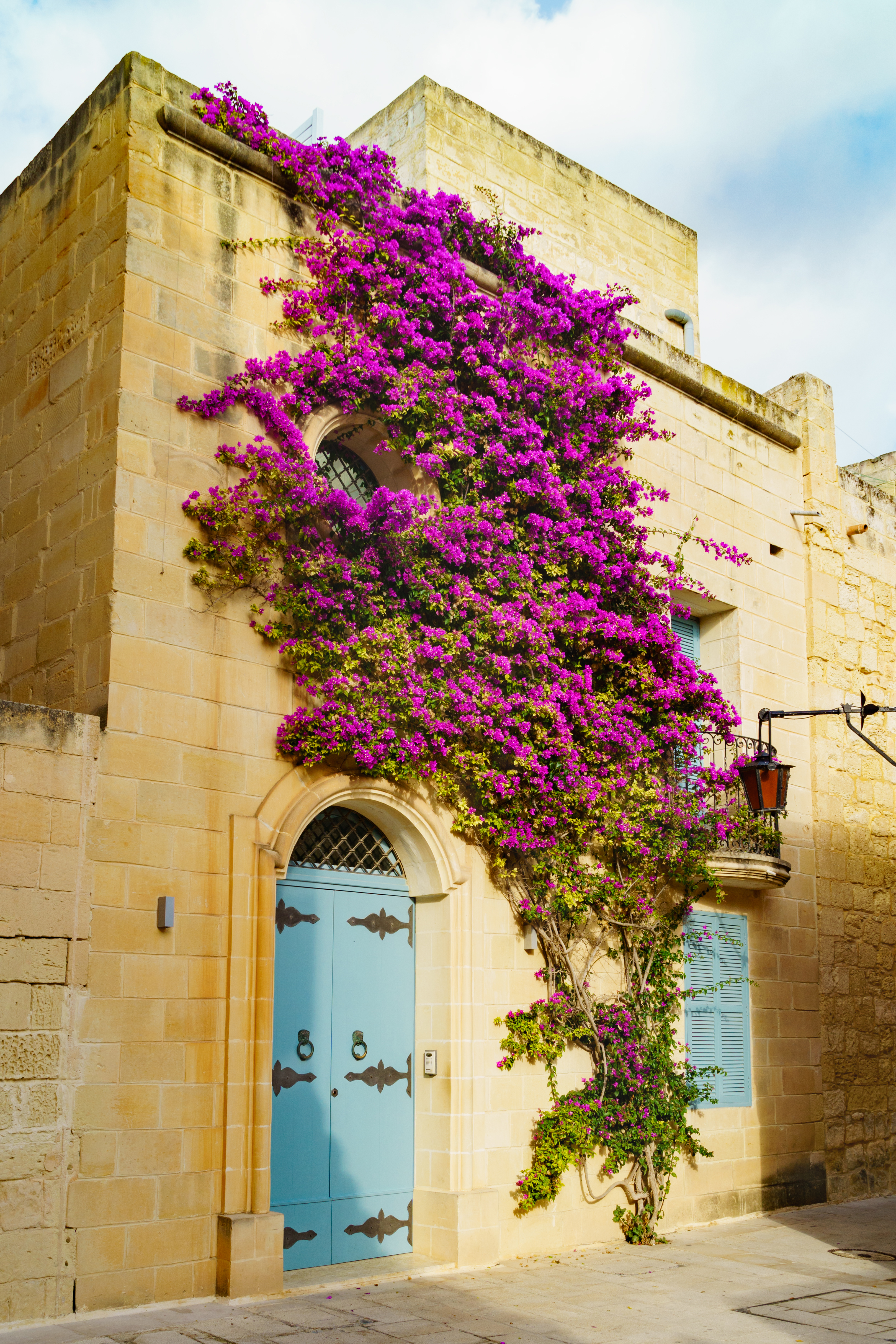 Purple bougainvillea draped over yellow stone house, blue door, and balcony.