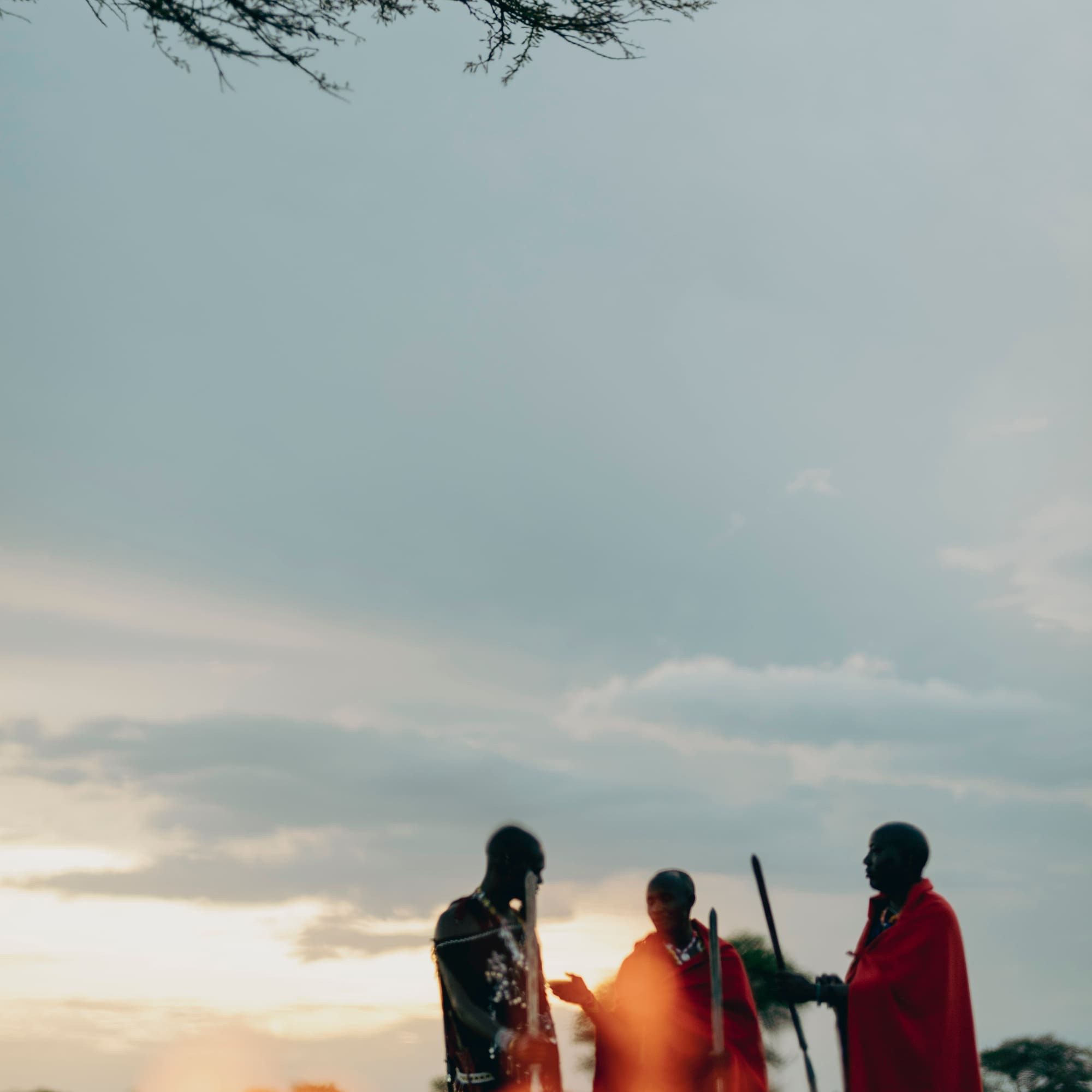 a group of men standing under a tree