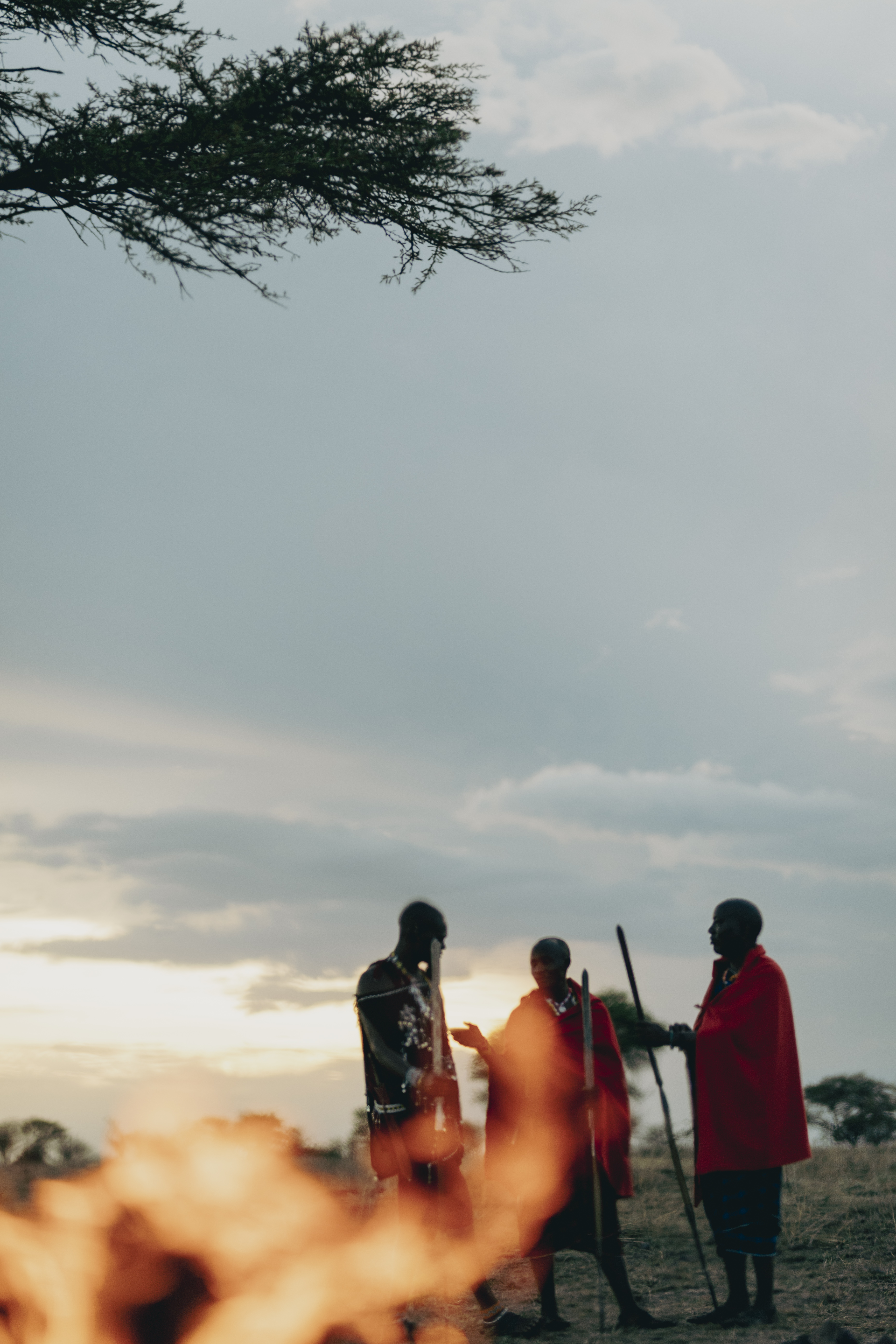 a group of men standing under a tree